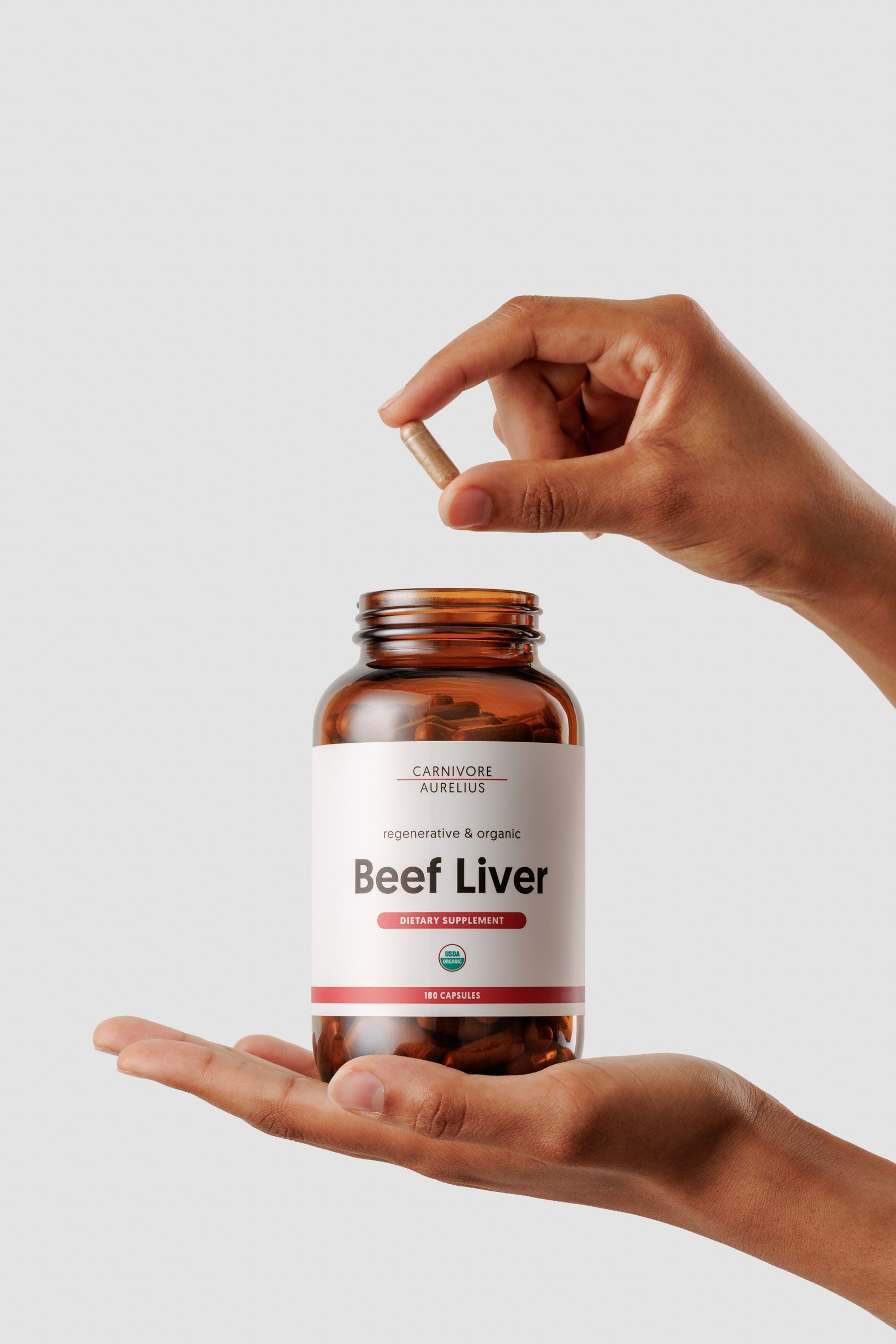 250918-Carnivore Aurelius-70-Edit.jpg