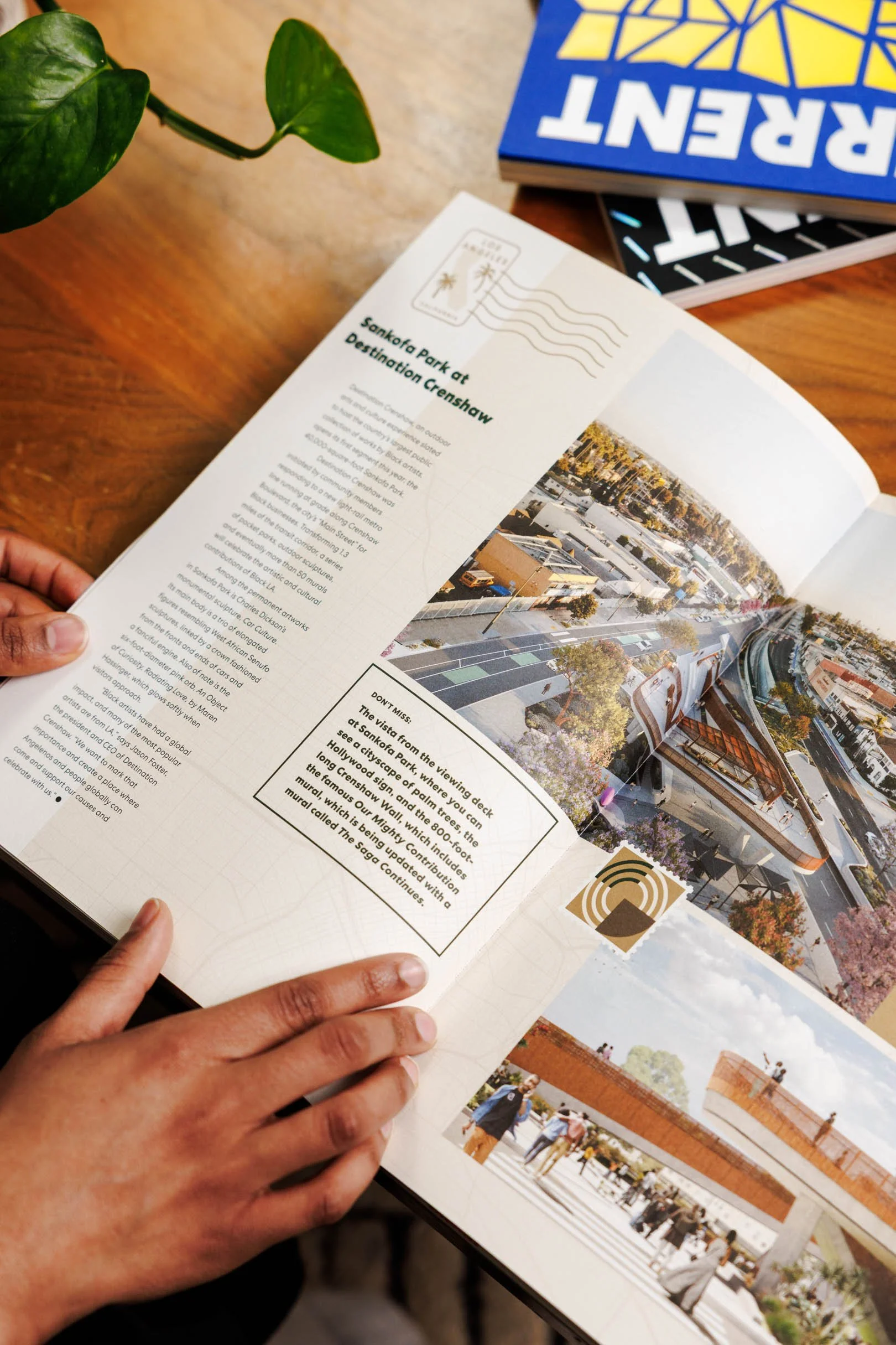 2025-02-05 Perkins & Will-207-Edit.jpg