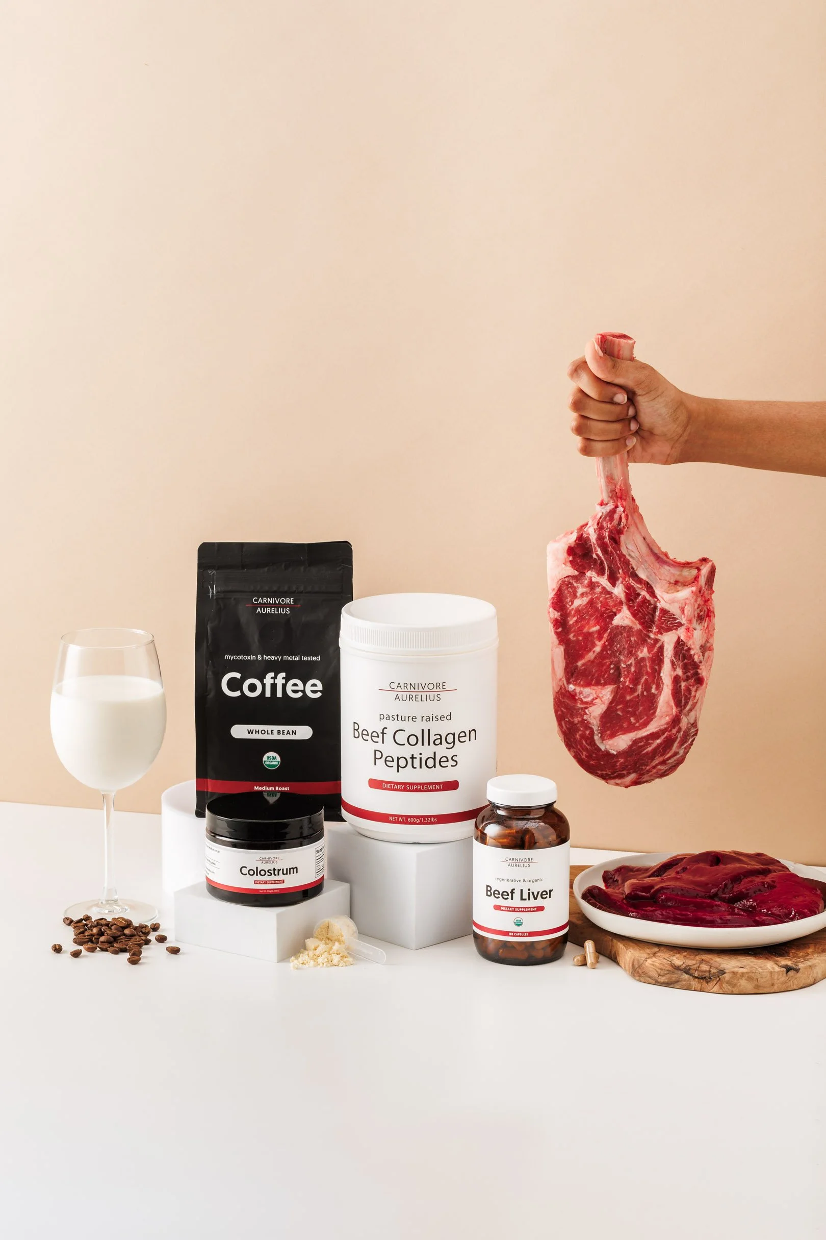 250918-Carnivore Aurelius-173-Edit.jpg