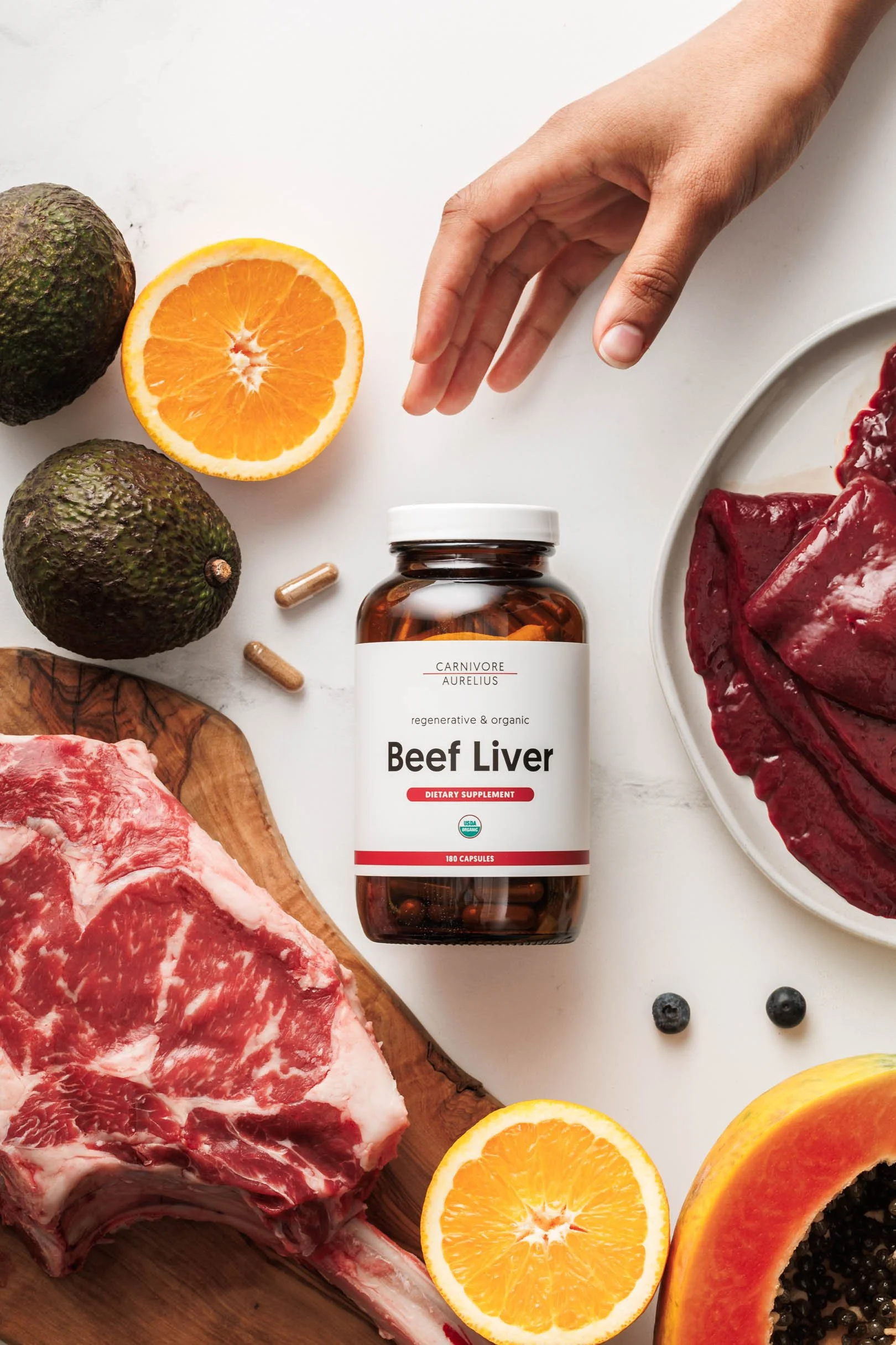 250918-Carnivore Aurelius-91.jpg