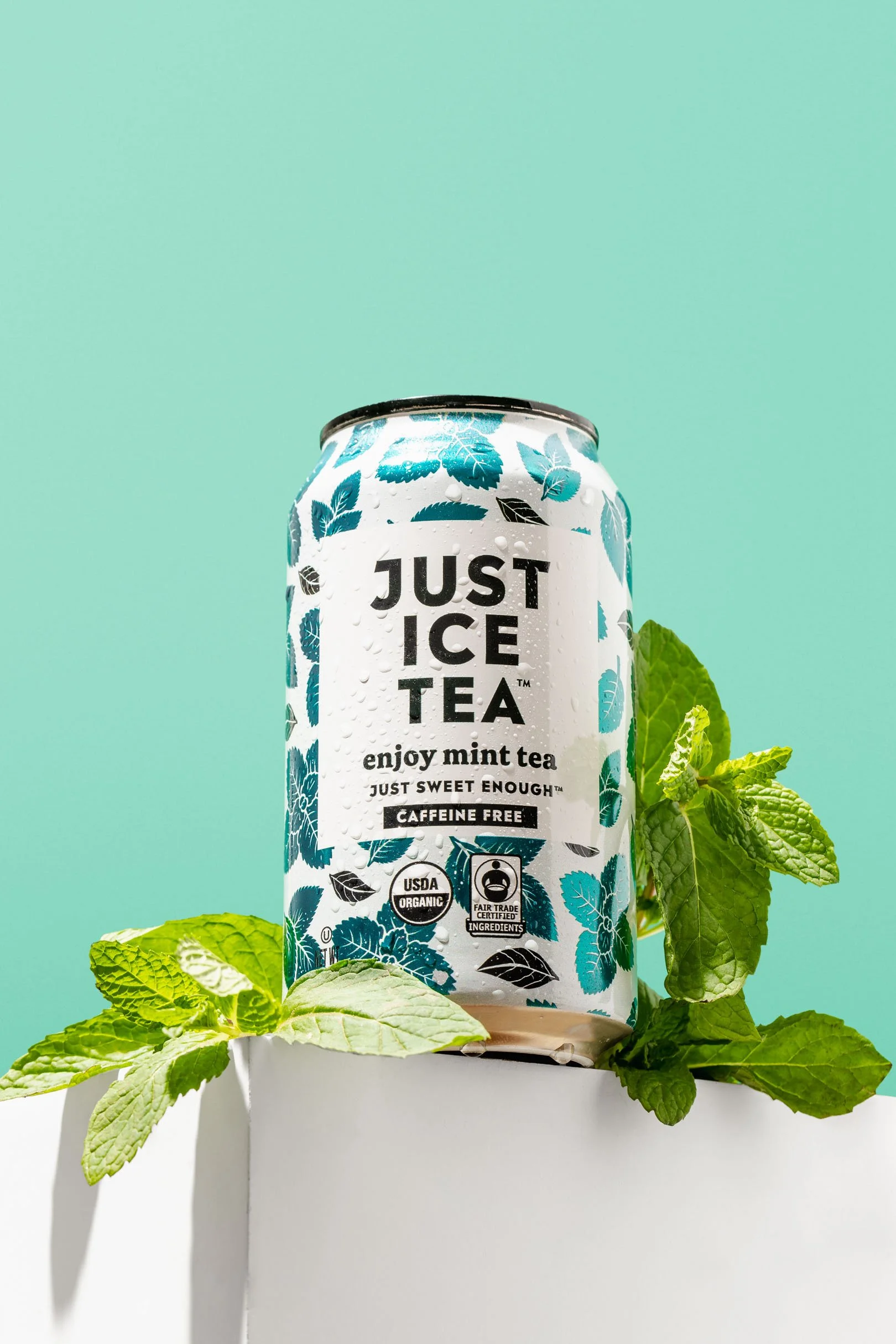 2025-01-31 Just Ice Tea-52-Edit.jpg