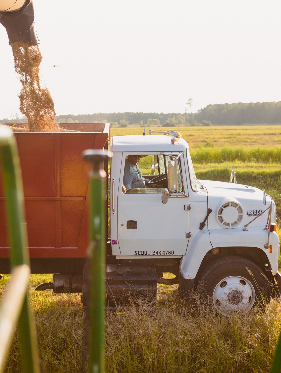 TIDEWATER_WORKTRUCK.jpg