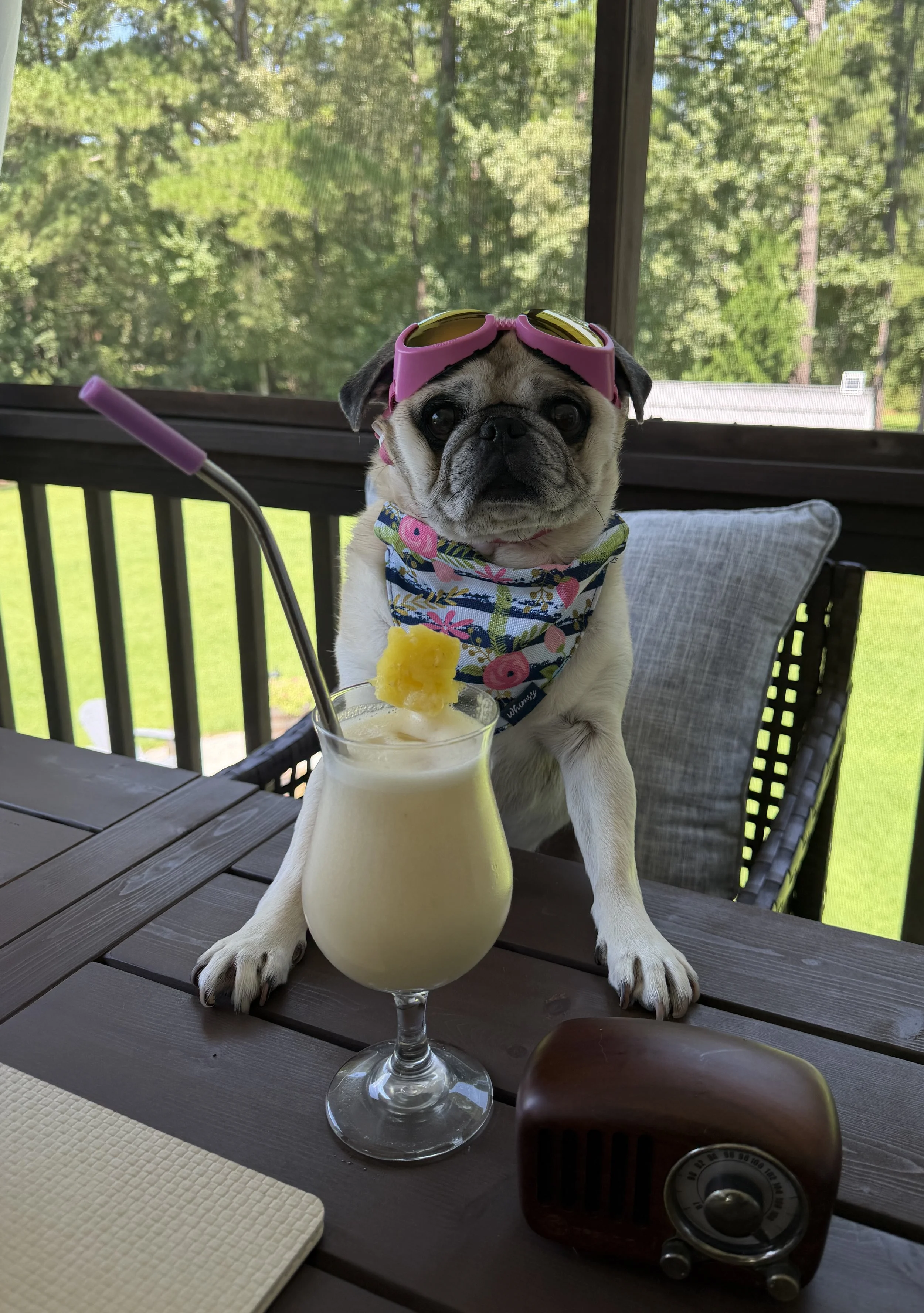  Carolina COLADA, made with Rice Milk