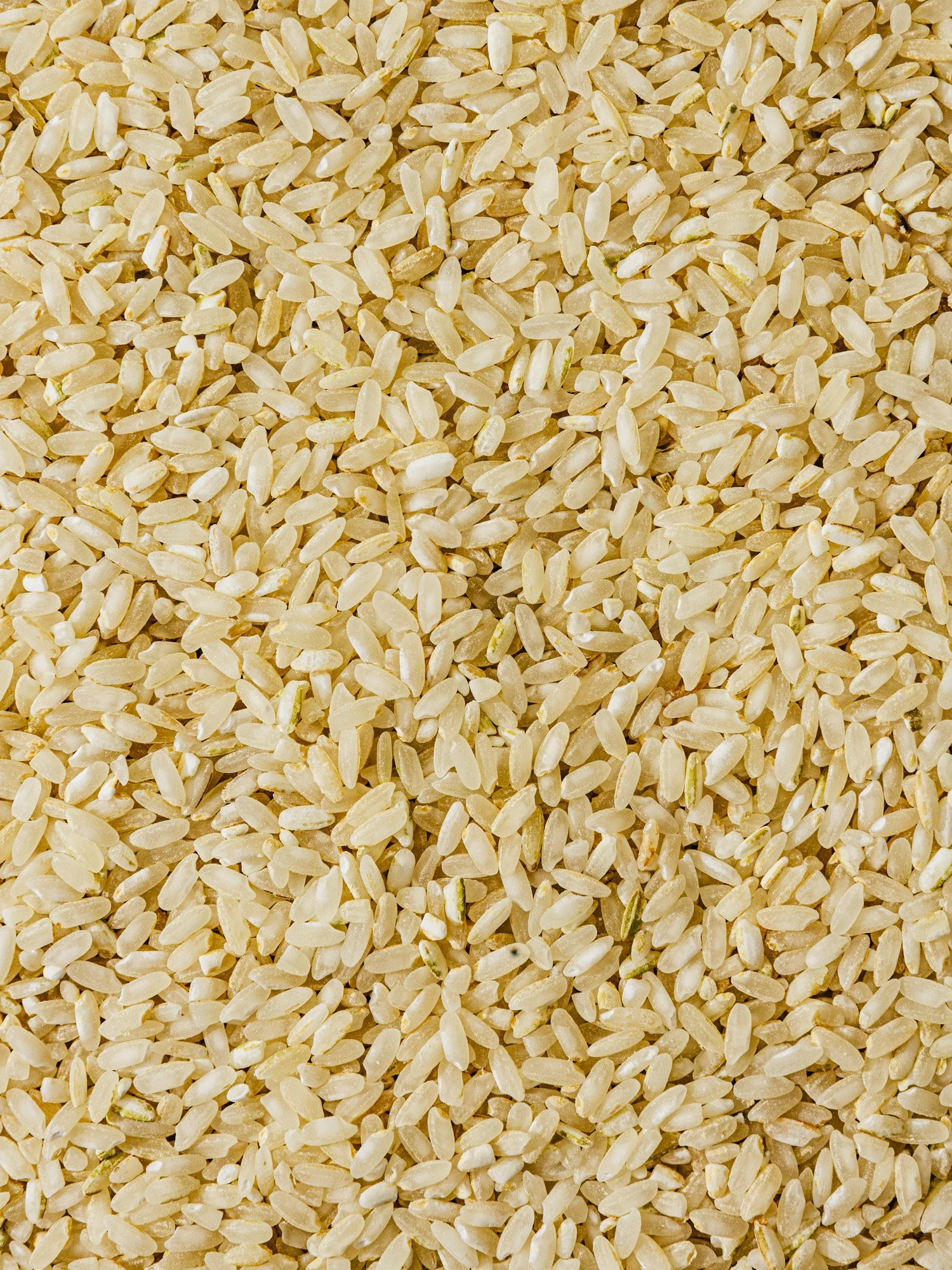 Tidewater Grain Co.