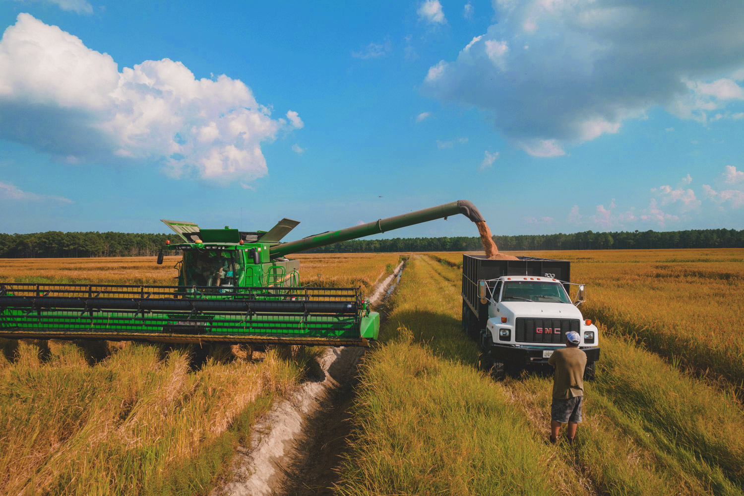 TIDEWATER_HARVEST3.png