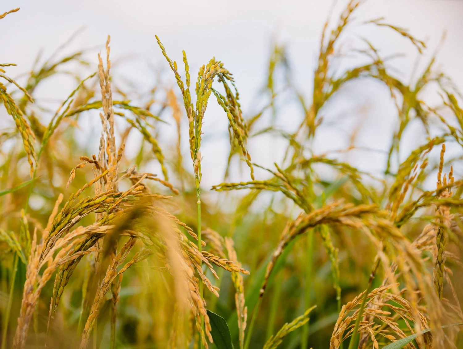 20210815-HT8A9679 2.jpg