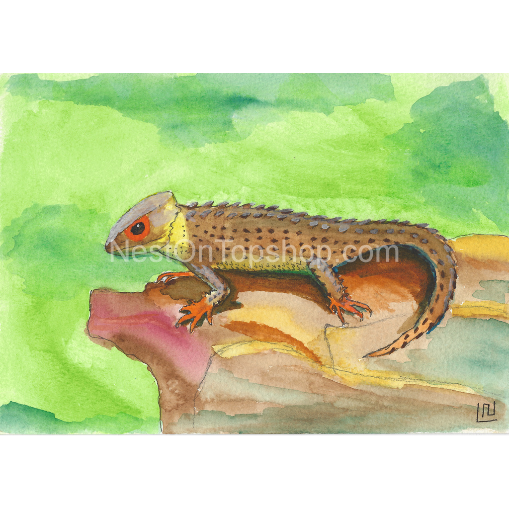 image_original_9fe54c72bc6eef11f5bbea4ef97f3000.png