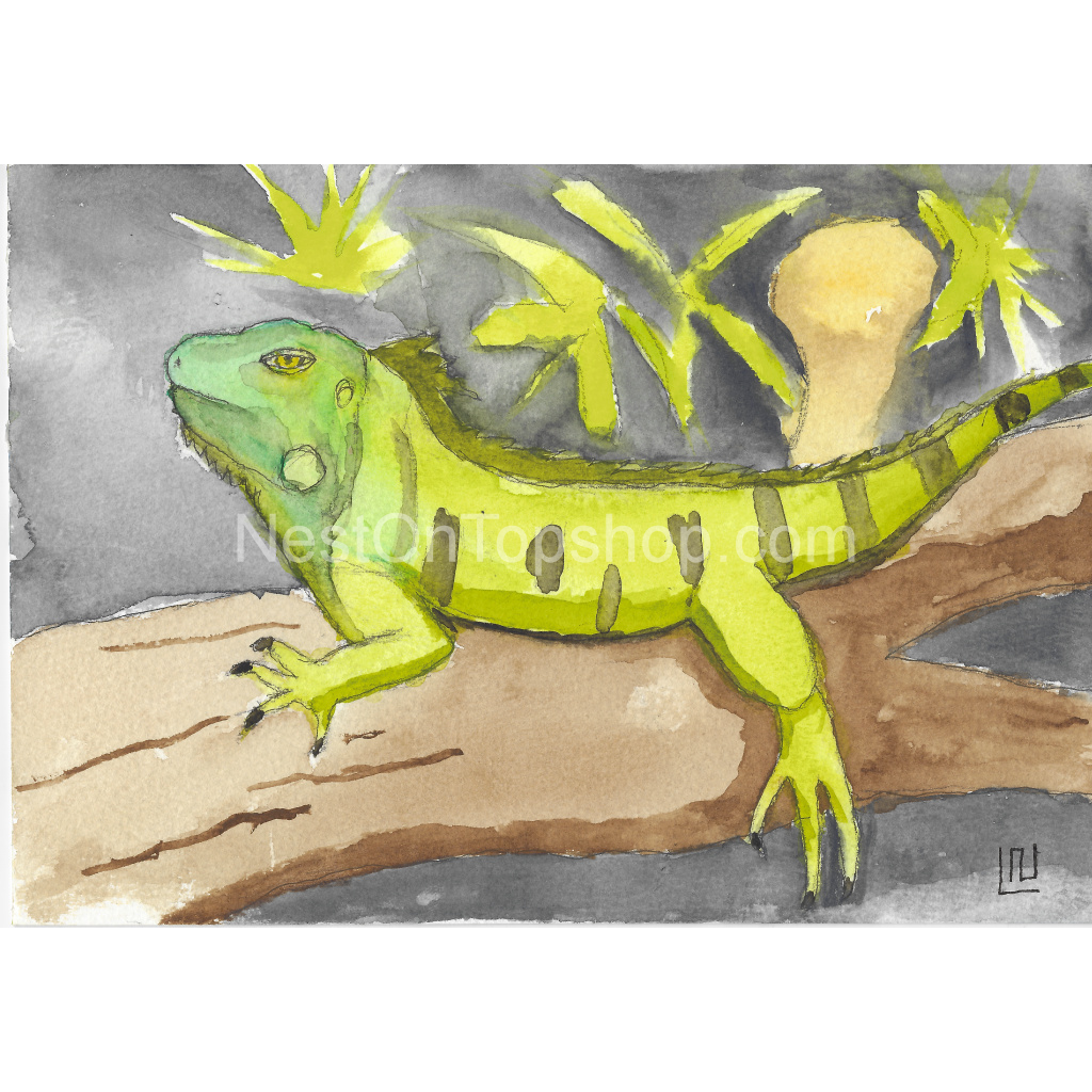 image_original_9fe54c72bc6eef11f5bbea4ef97f3000.png