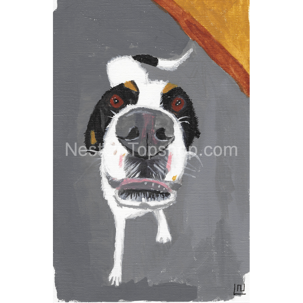 image_original_9fe54c72bc6eef11f5bbea4ef97f3000.png