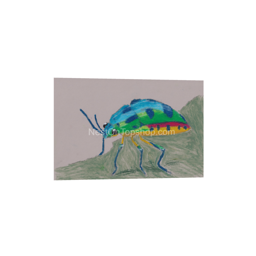 ptq_1_3_0_108_6024_4016_0_false_ffffff_0_0_9fe54c72bc6eef11f5bbea4ef97f3000.png