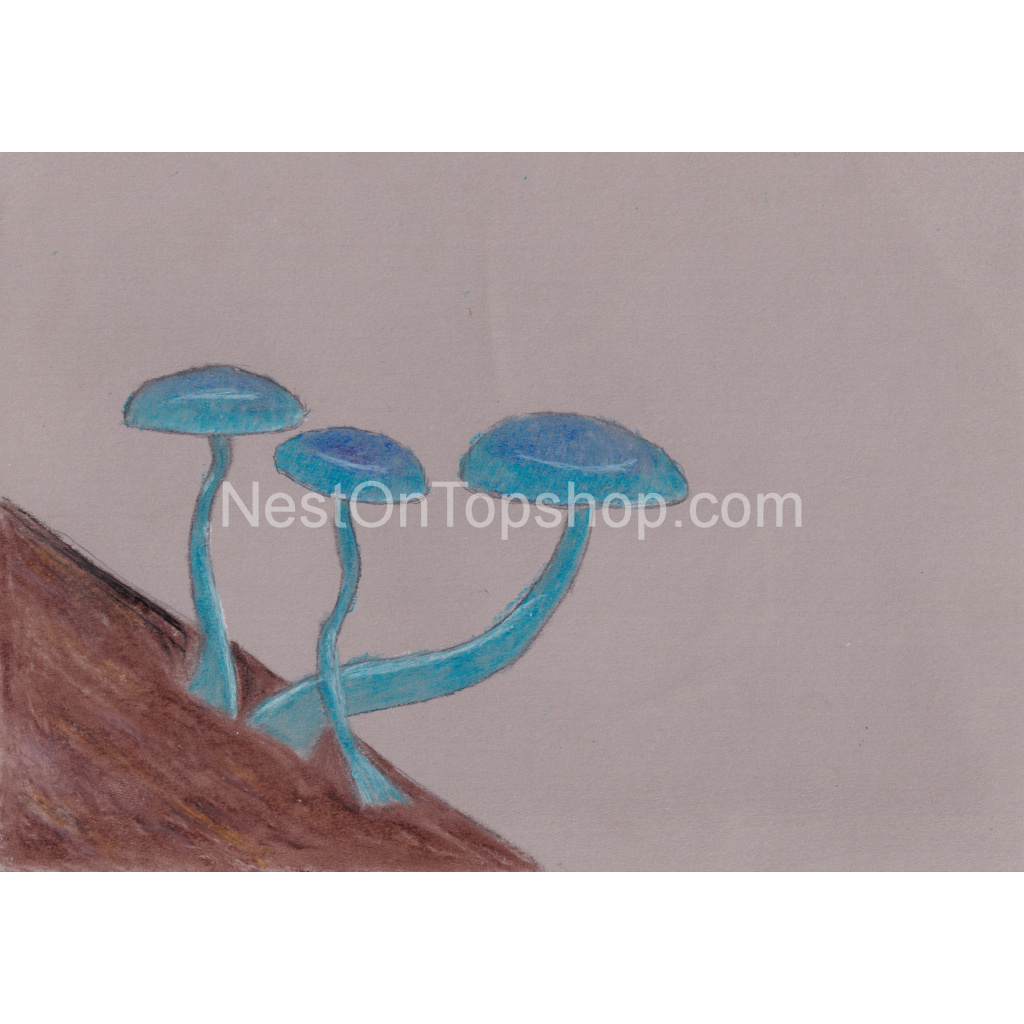 image_original_9fe54c72bc6eef11f5bbea4ef97f3000.png