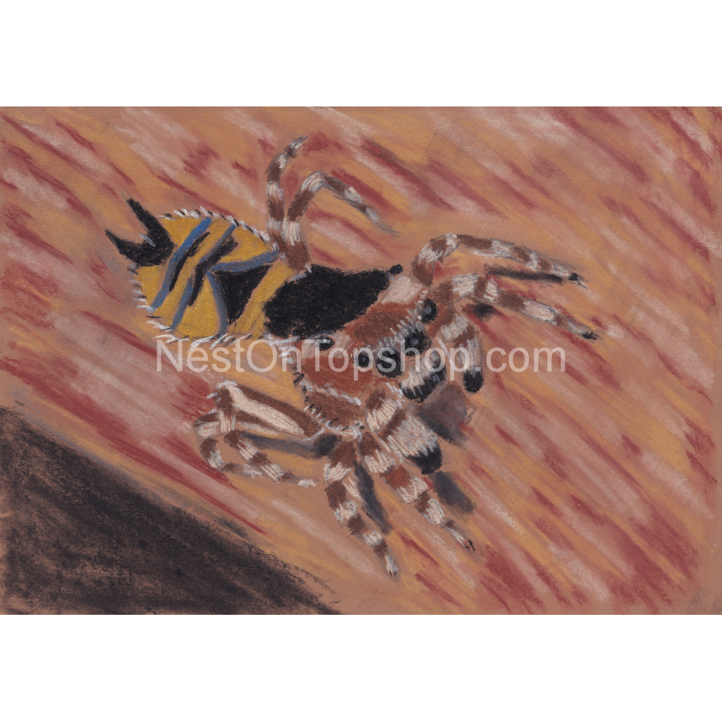 image_original_9fe54c72bc6eef11f5bbea4ef97f3000.png