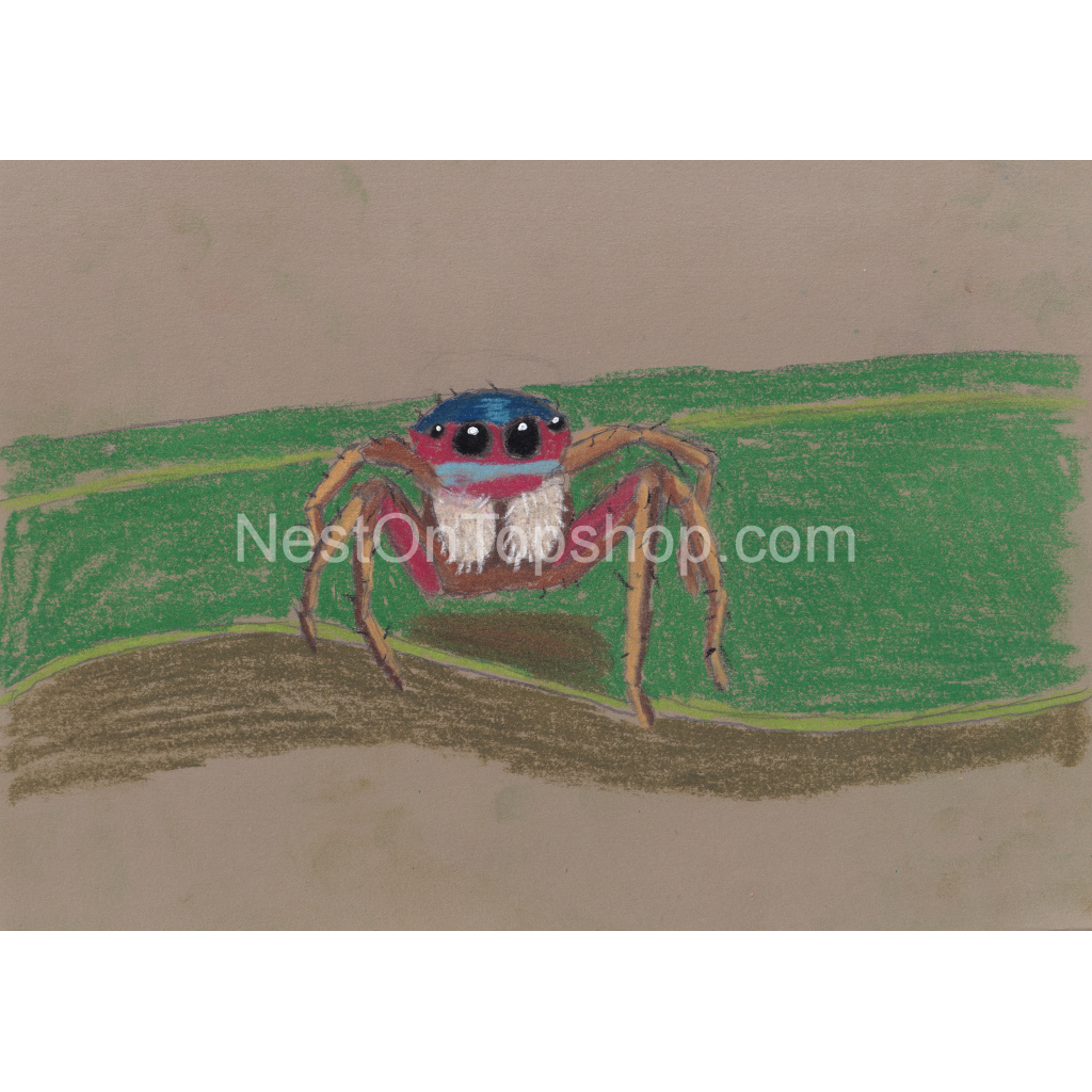 image_original_9fe54c72bc6eef11f5bbea4ef97f3000.png