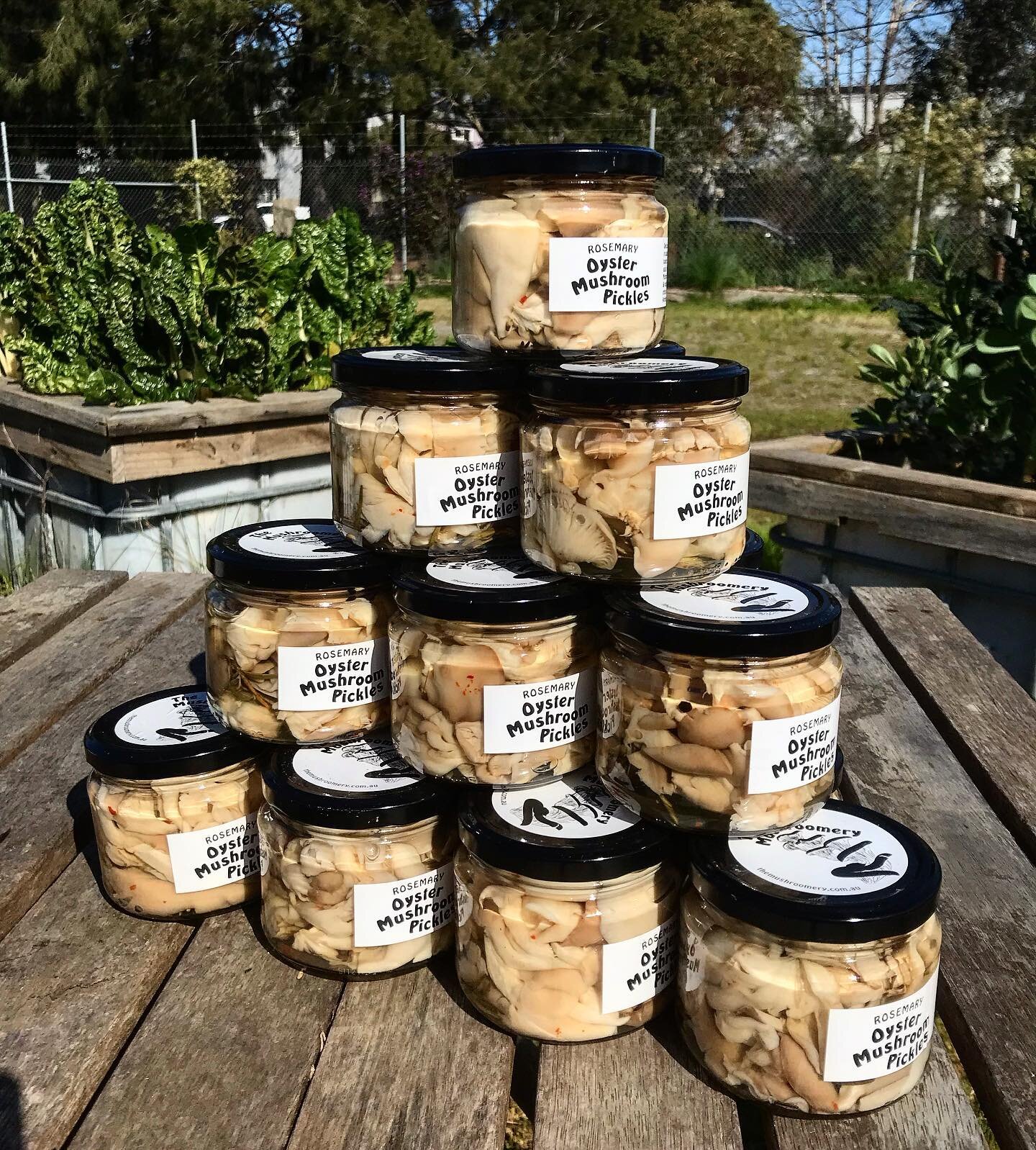 Have you noticed we have pickles now! These Rosemary Pickled Mushrooms are delicious on toast with cream cheese or straight out of the jar on a board of charcuterie! #pickledmushrooms @themushroomery