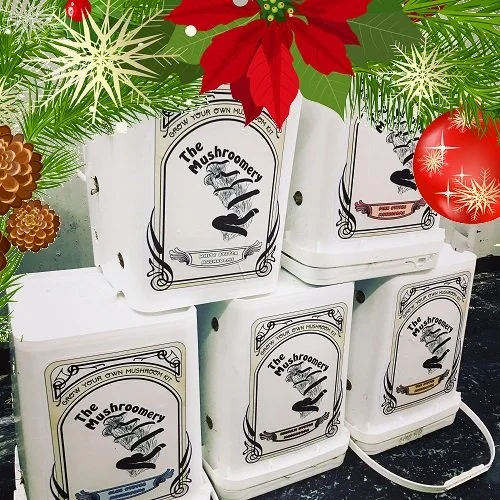 buckets xmas.jpg