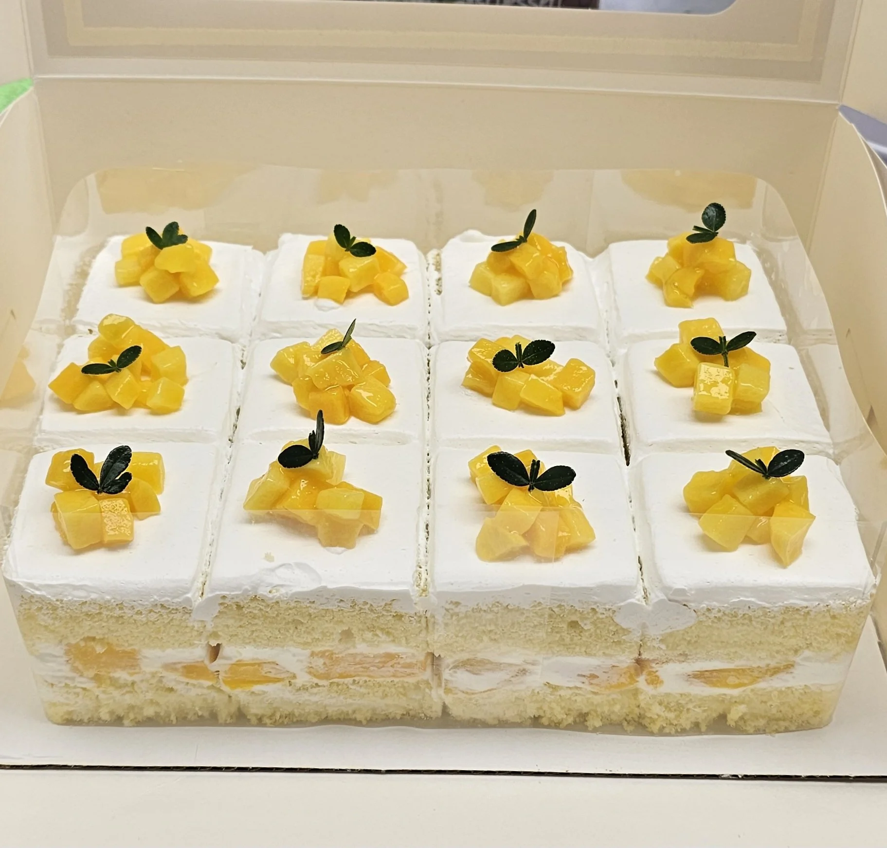 Half Sheet 2 Layer Sponge Cake