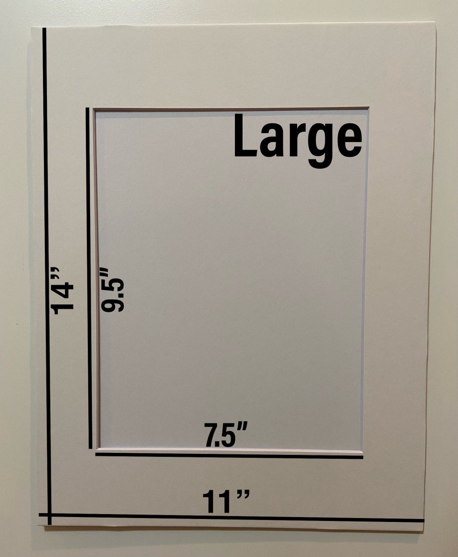 large.jpeg