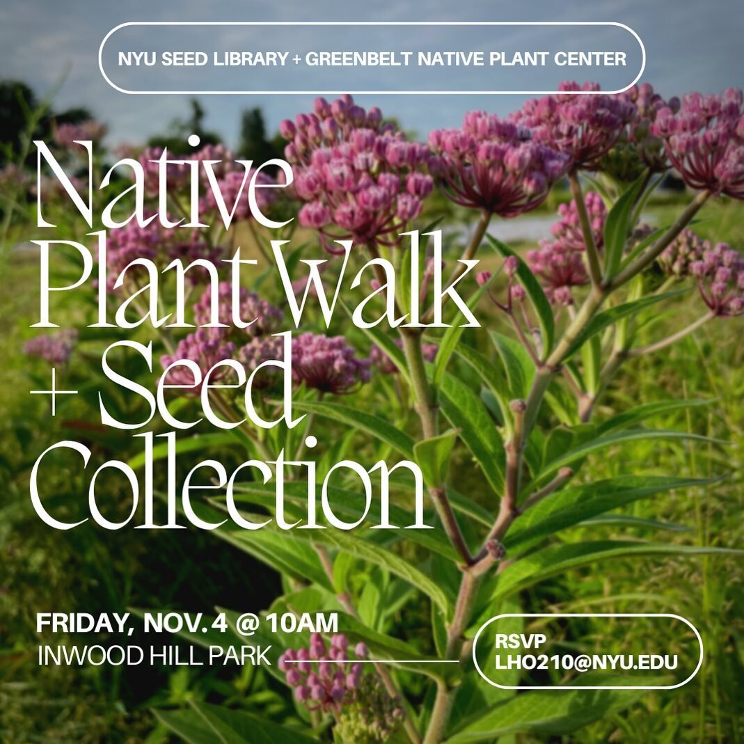Join the NYU Seed Library for our first native plant walk with @nycparks Greenbelt Native Plant Center!

Patrick Over, one of the city's official seed collectors, will lead our group in identifying native species that enhance our local biodiversity a