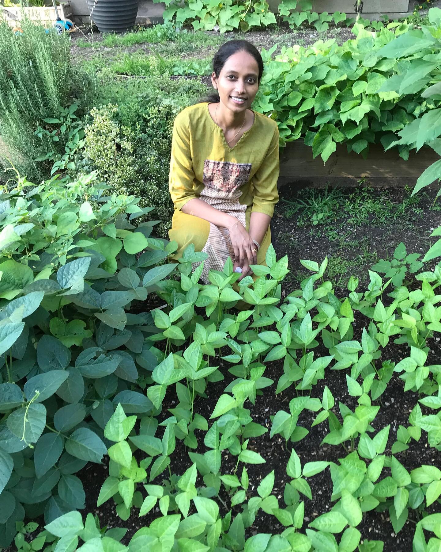 Anjani Sneha Varjala, a food studies graduate student at NYU, chose a mung bean variety for her seed story. She says: &ldquo;the @nyurbanfarmlab is the most amazing space I found. My joy of working with soil and bean projects was a bonus for it helpe