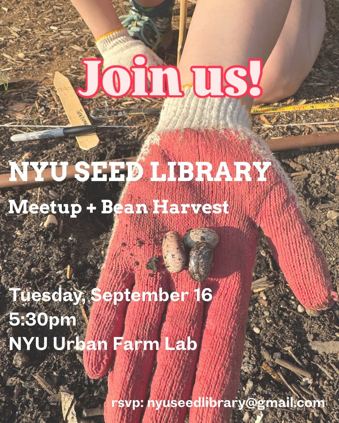 Join members of the NYU Seed Library on Tuesday, September 16 from 5:30pm - 7:00pm at the NYU Urban Farm Lab to learn about the seed library and help us harvest beans at the farm. Attendees can take seeds home! Please RSVP to nyuseedlibrary@gmail.com