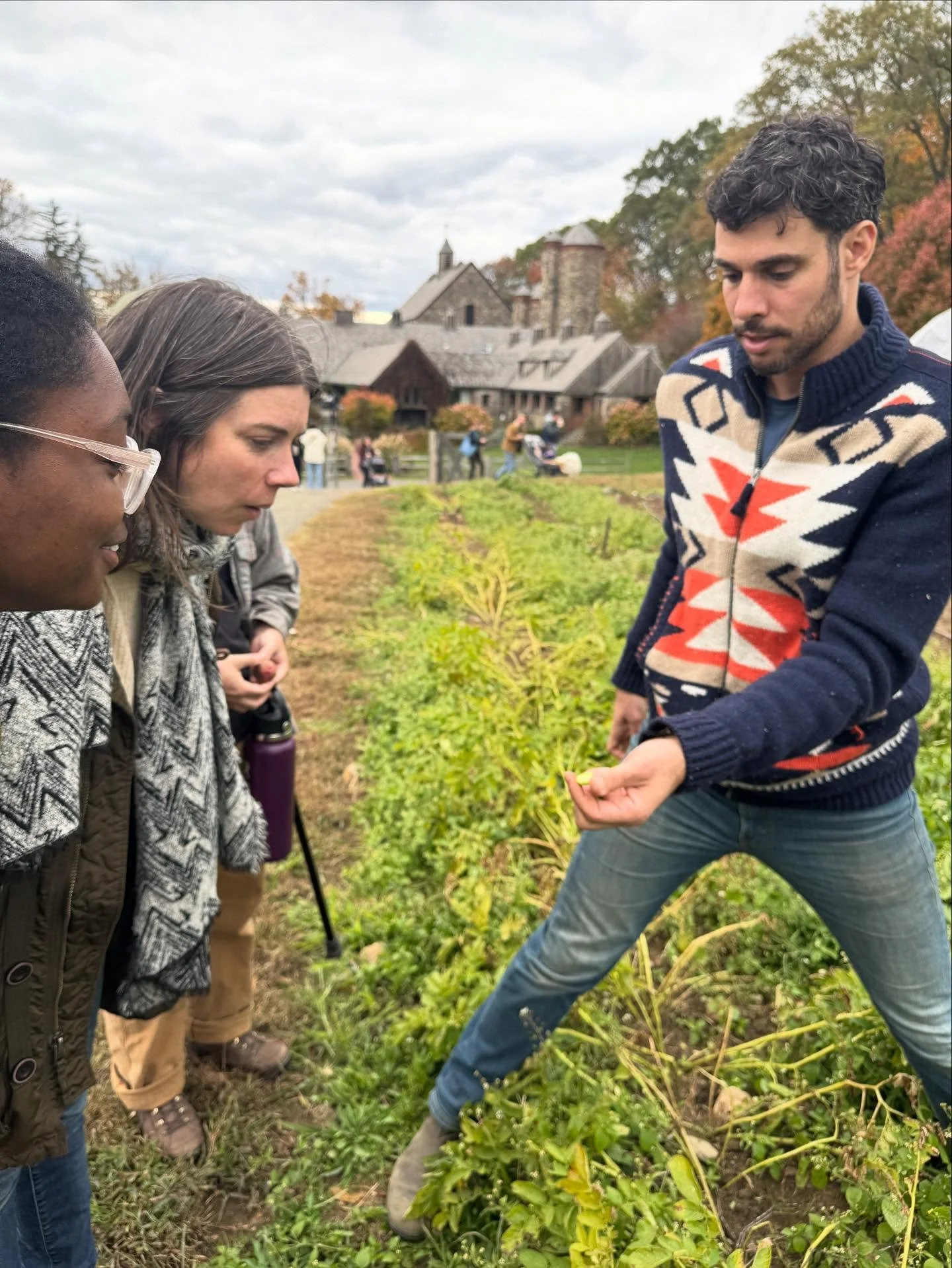 This past weekend, our NYU Seed Library team visited @stonebarns learning about their incredible seed work - from partnering with chefs and seed breeders to expand crop biodiversity to reimagining how we grow things like potatoes ✨🥔

We toured exper