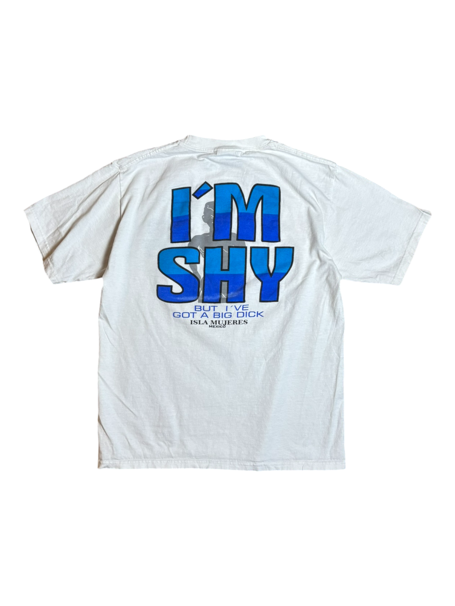 90s I Got A Big D**** Tee / M