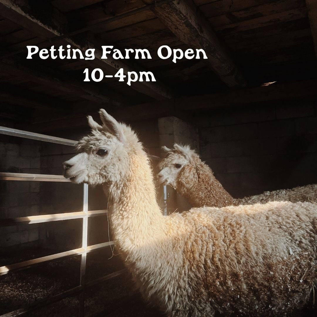 Petting Farm 