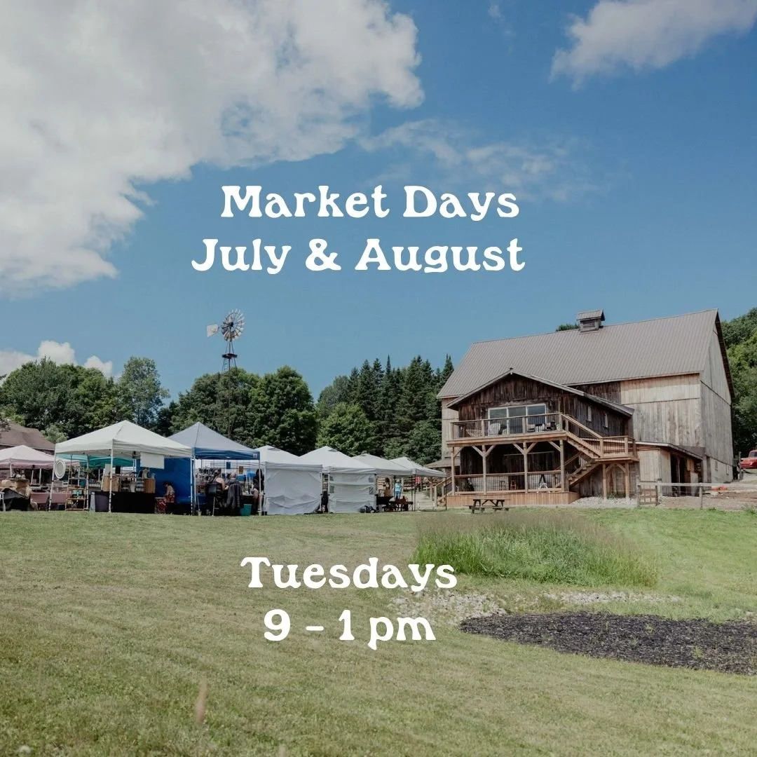 Market Day 