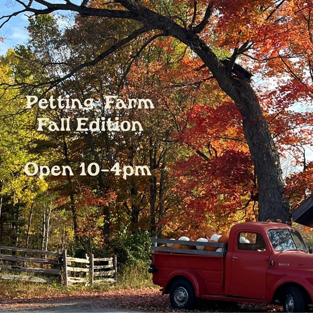 Petting Farm        Fall Edition 