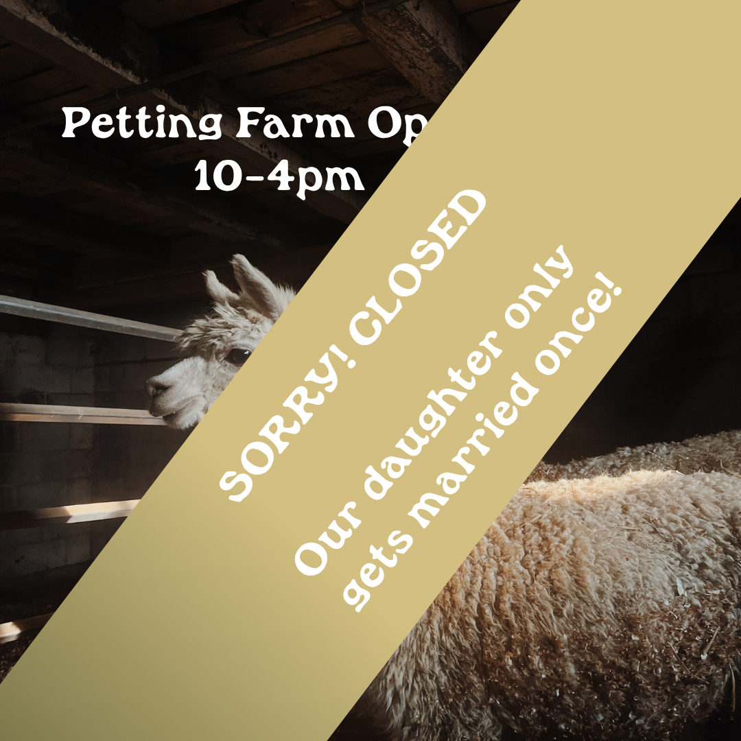 Petting Farm CLOSED