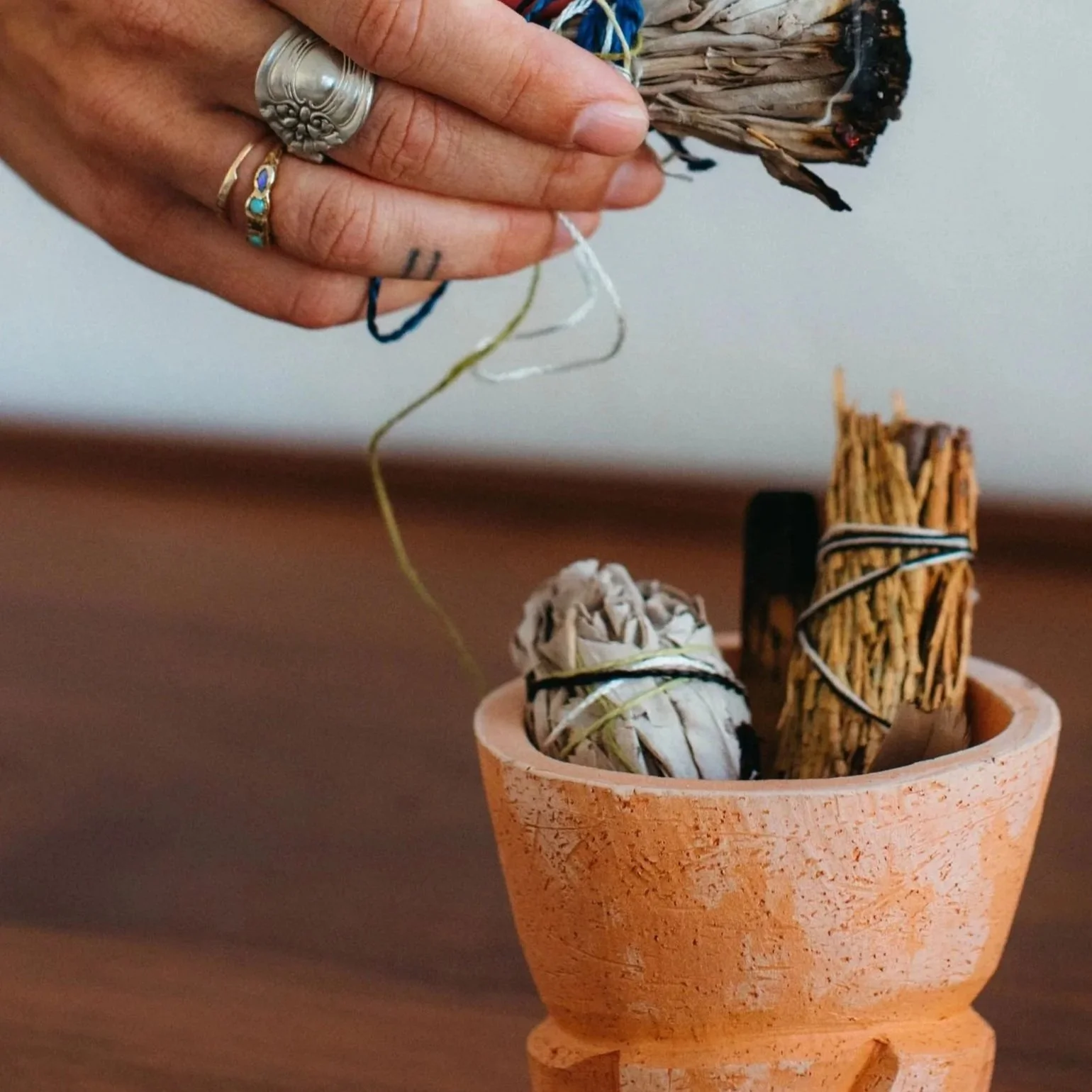 A Case for Your Nervous System