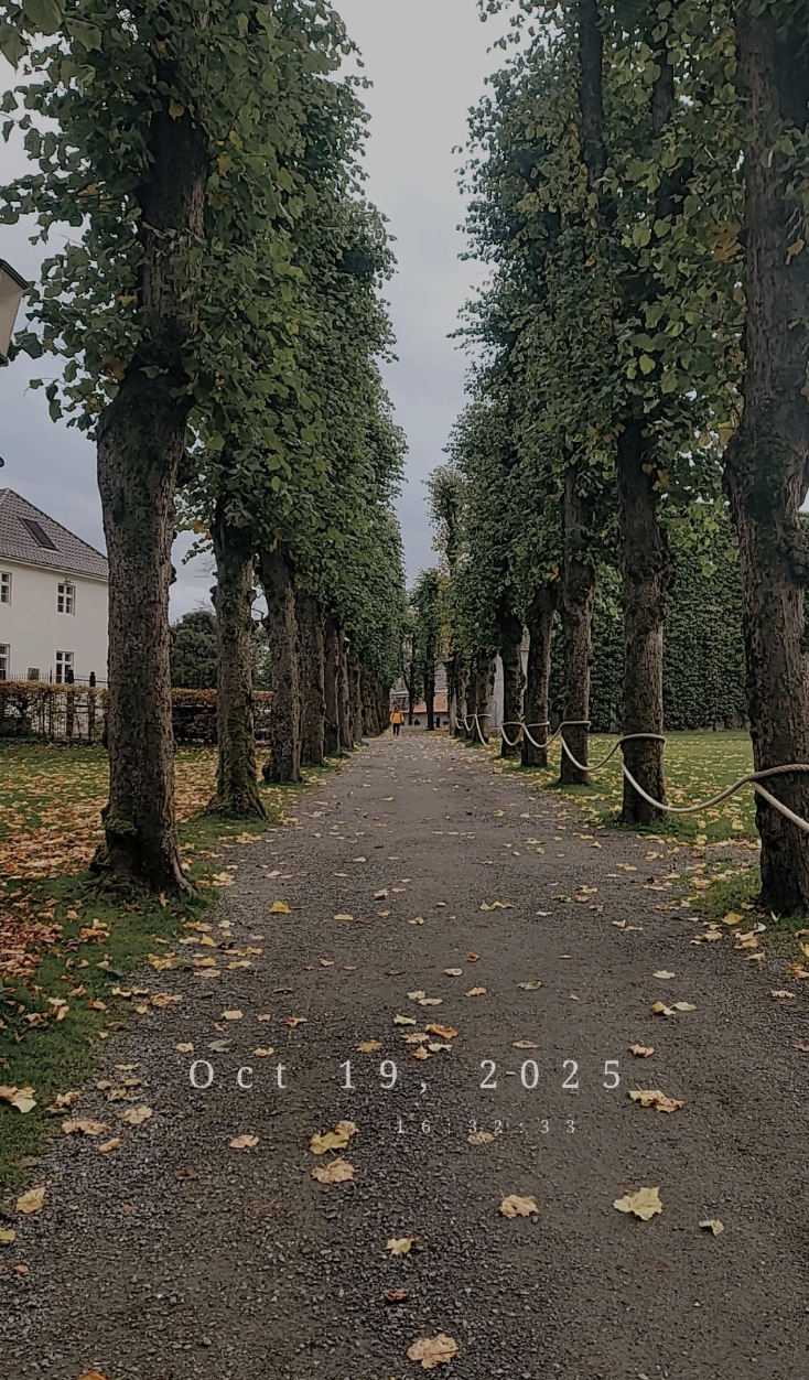 Screenshot 2026-01-12 at 3.35.06 PM.png