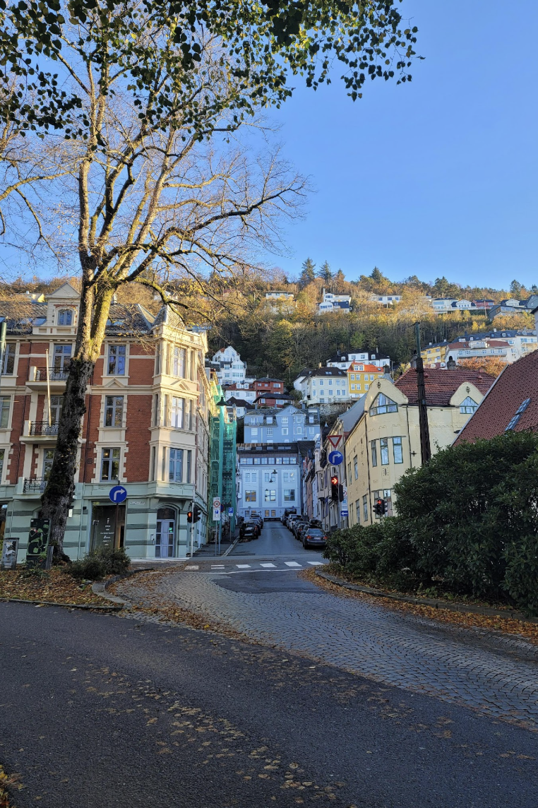 Screenshot 2026-01-12 at 3.34.39 PM.png