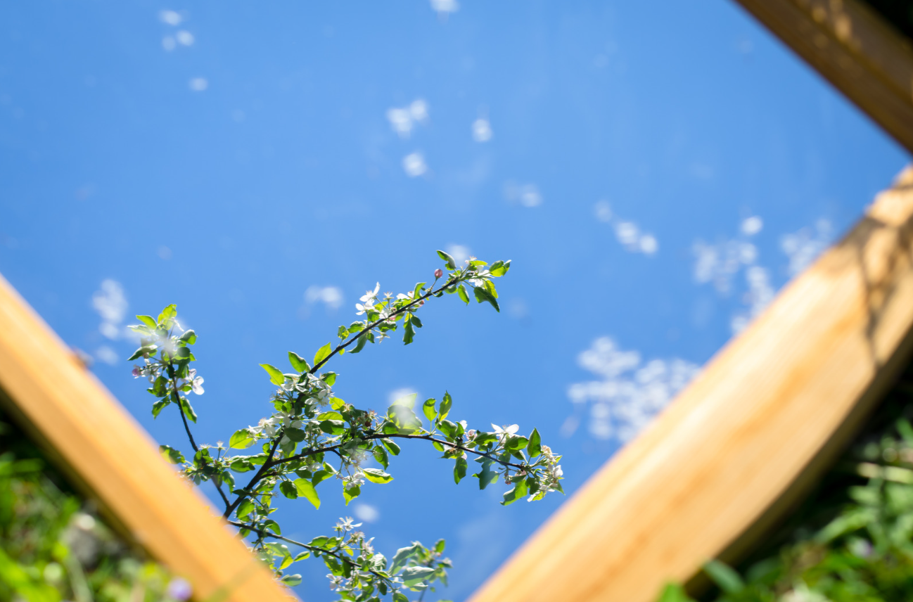 What "Nature" Do You Notice? A New Way to Study Nature in Urban Environments