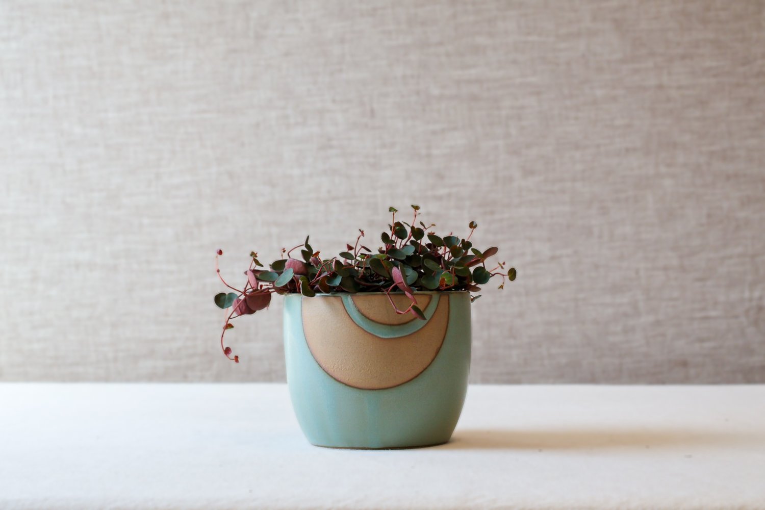 New Earth Ceramics by Summer Romasco Spring 2025 Planters-103.jpg