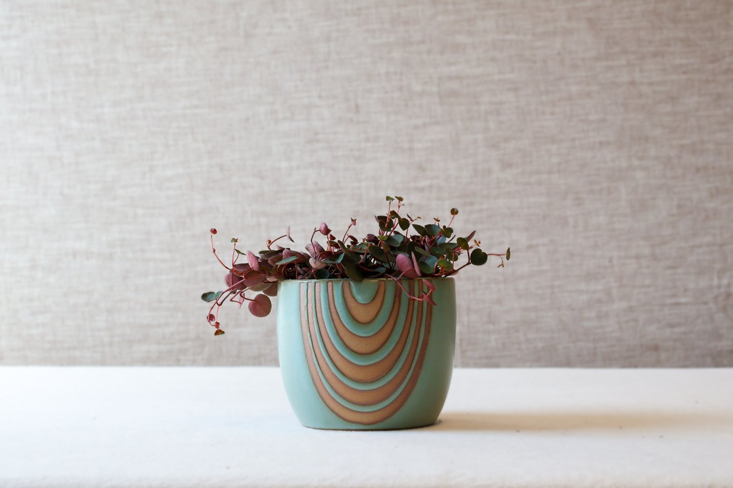 New Earth Ceramics by Summer Romasco Spring 2025 Planters-111.jpg