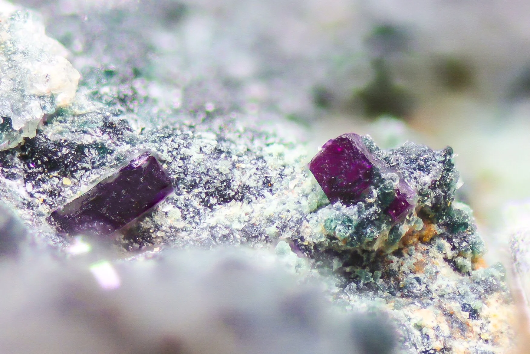 Tiny grape-jello purple cubical crystals with a rough surface. The crystals are poking out of a massive rough rock with areas of fuzzy green and broad purple, all with a grainy coating of white as though it were rubbed with flour
