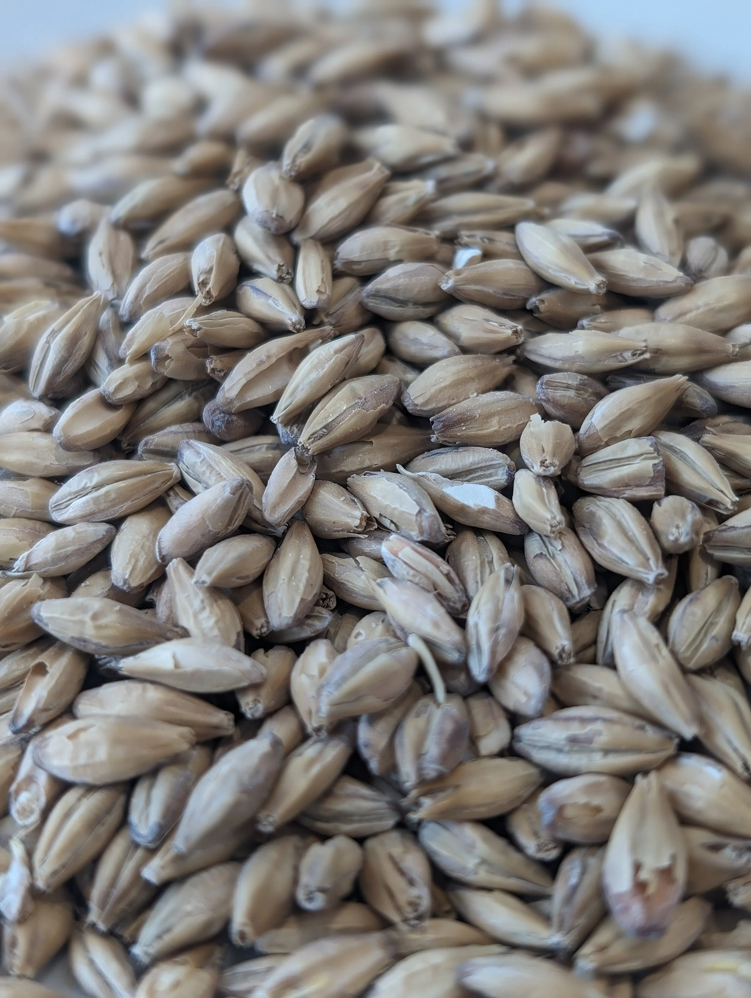 carabody malt mouthfeel additive