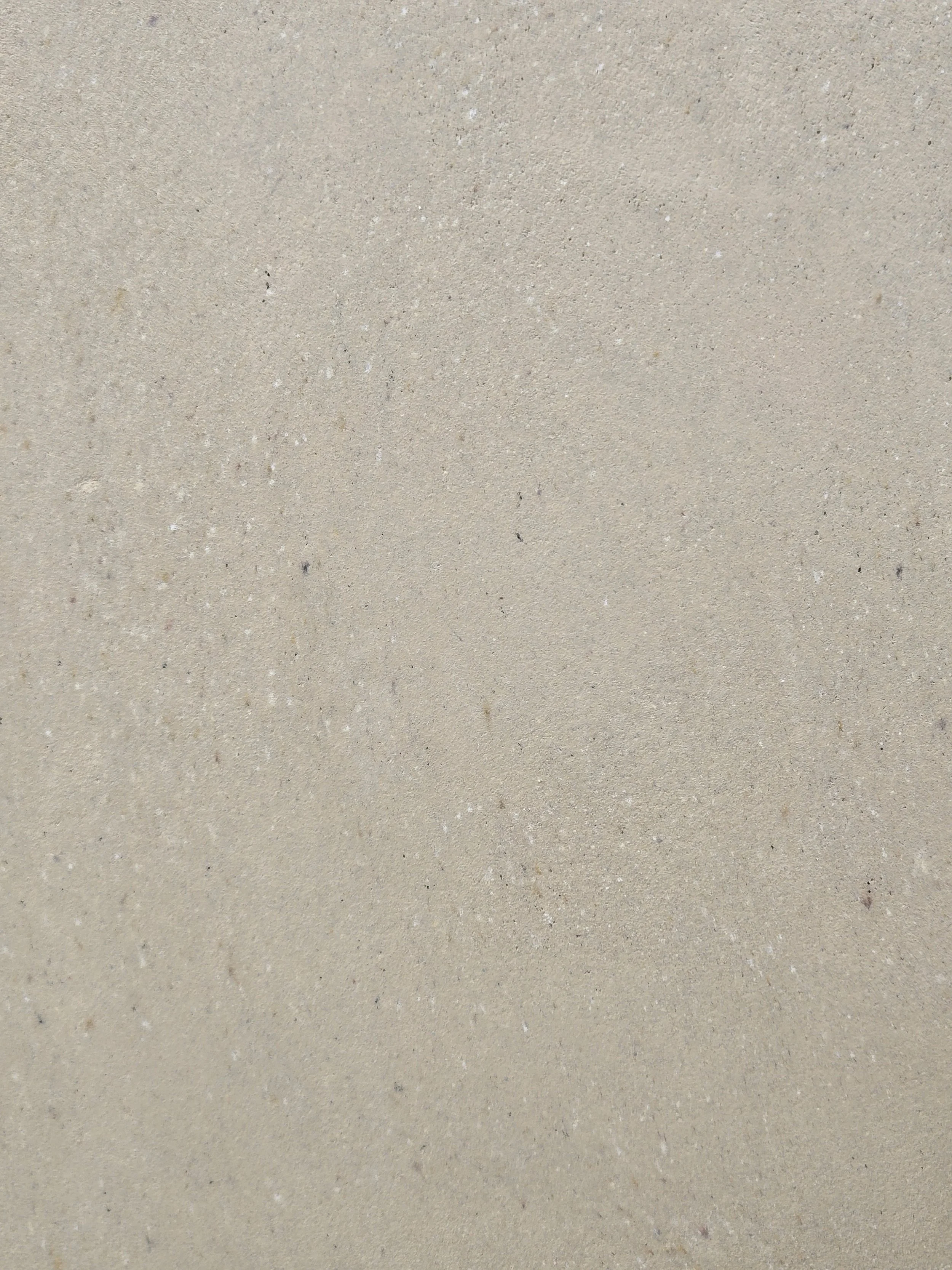 Zenith Top Coat Color Latte 2.jpg