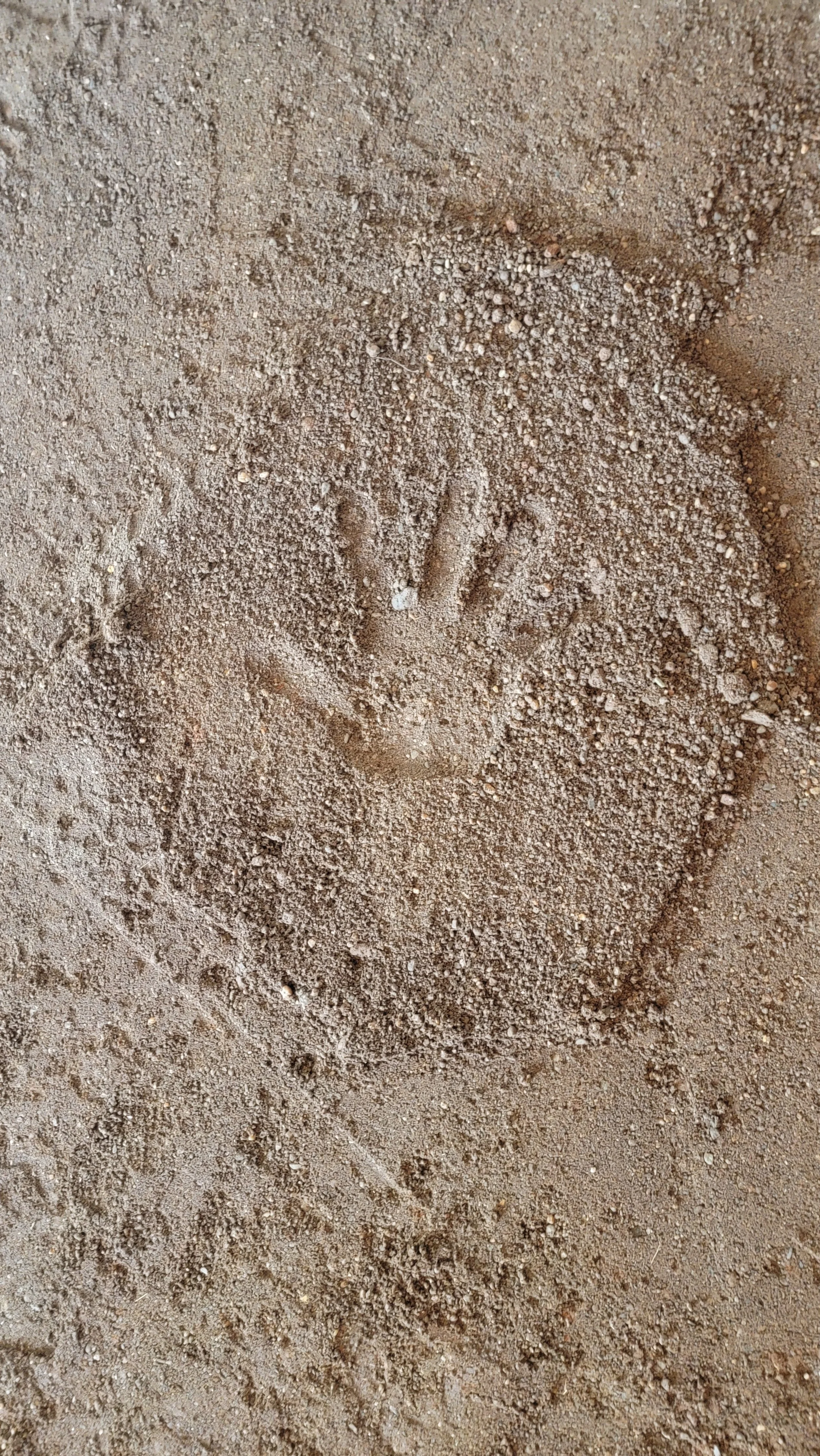 a hand print in a natural clay deposit