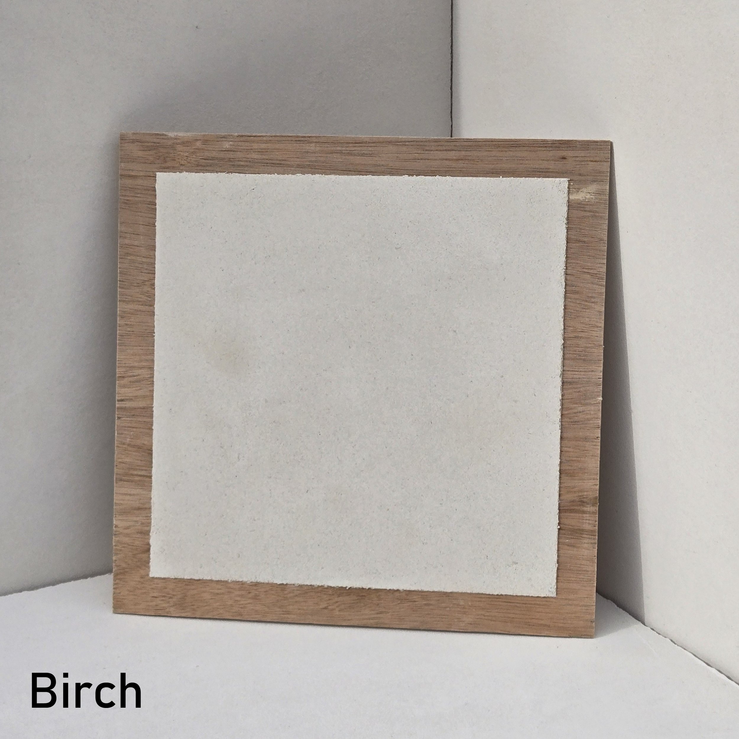 Euro Top Coat Plaster Color Birch.jpg