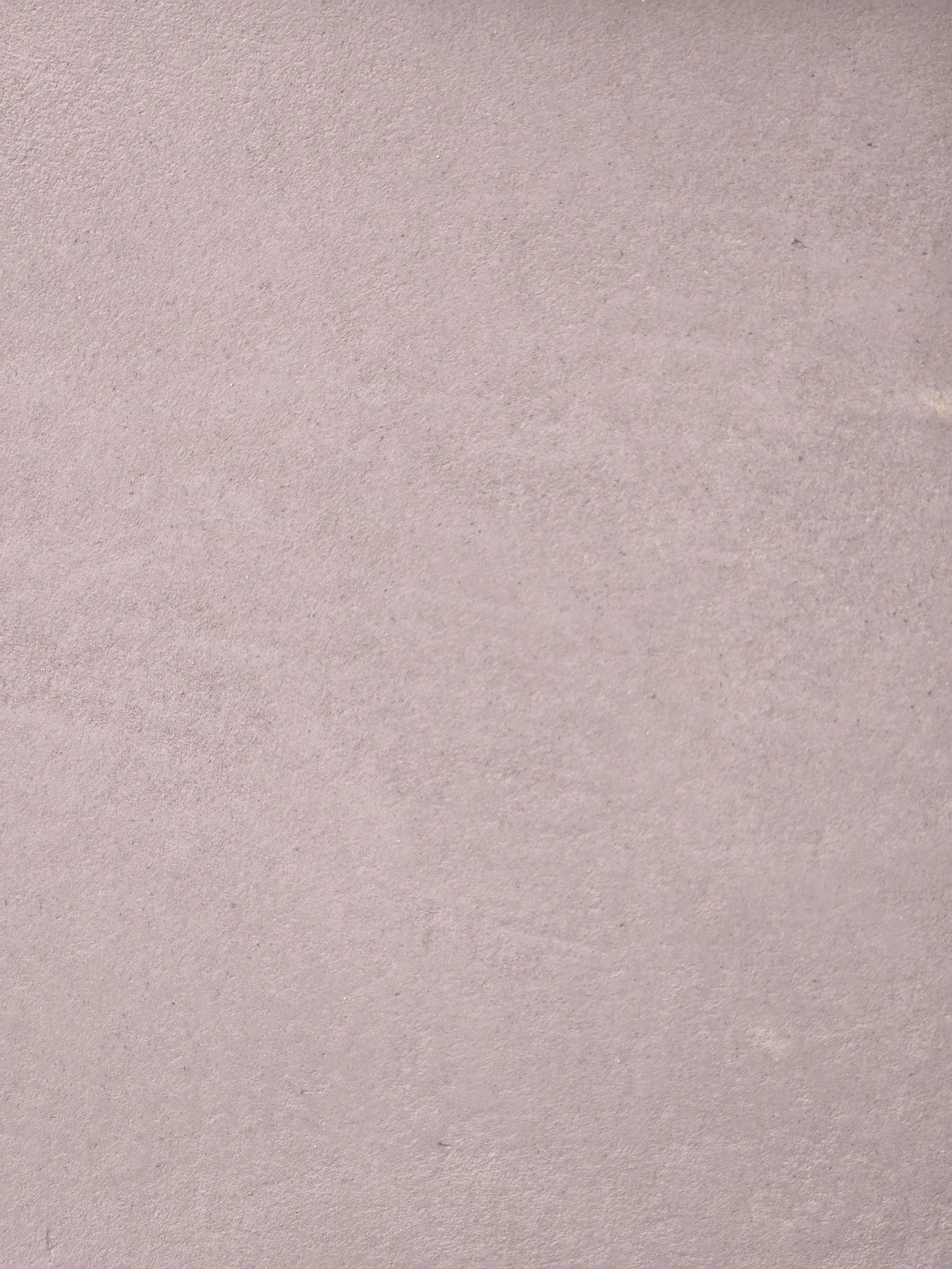 Zenith Top Coat Plaster Color Lilac 1.jpg