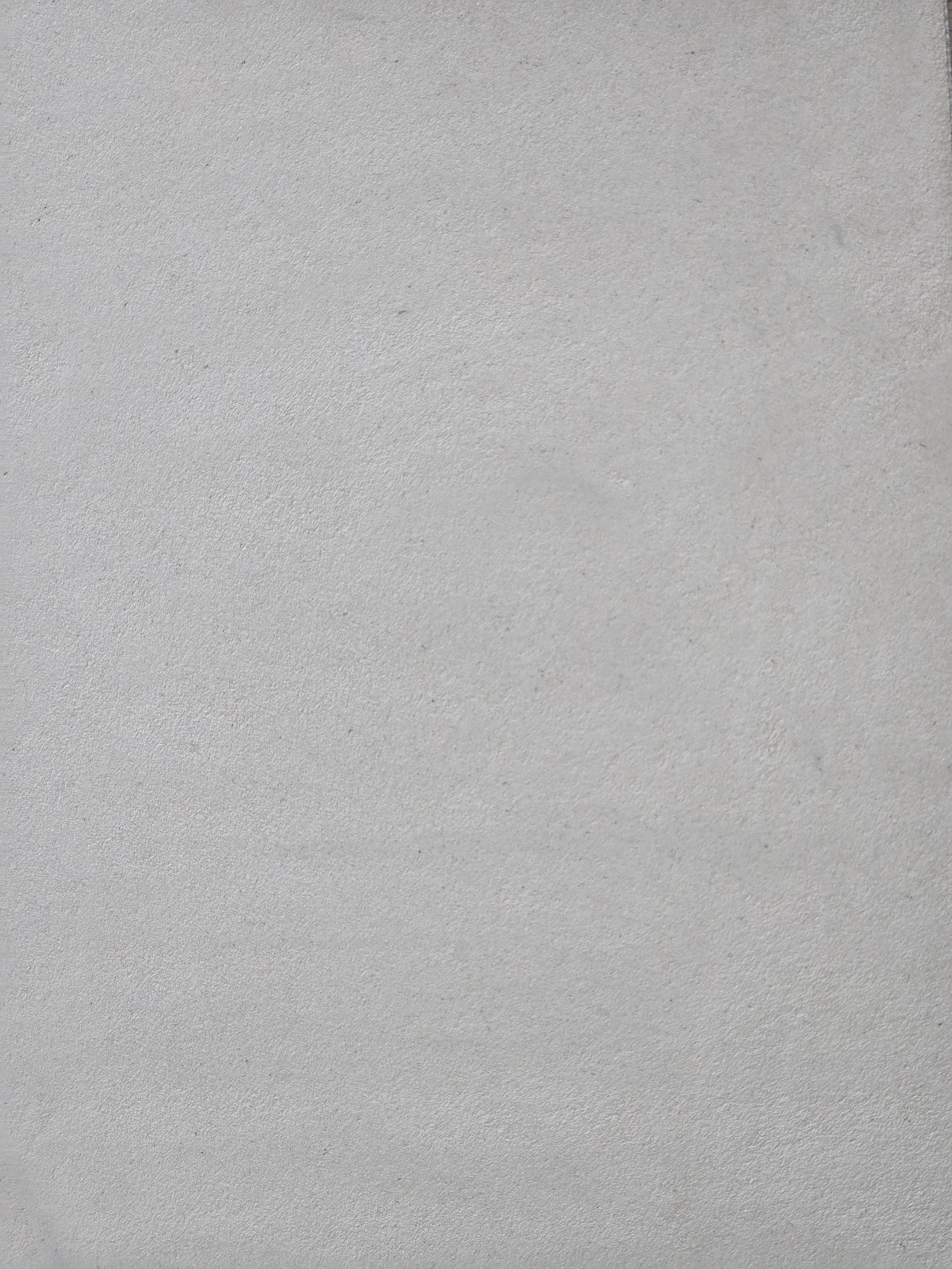 Zenith Top Coat Plaster Color Bone 1.jpg