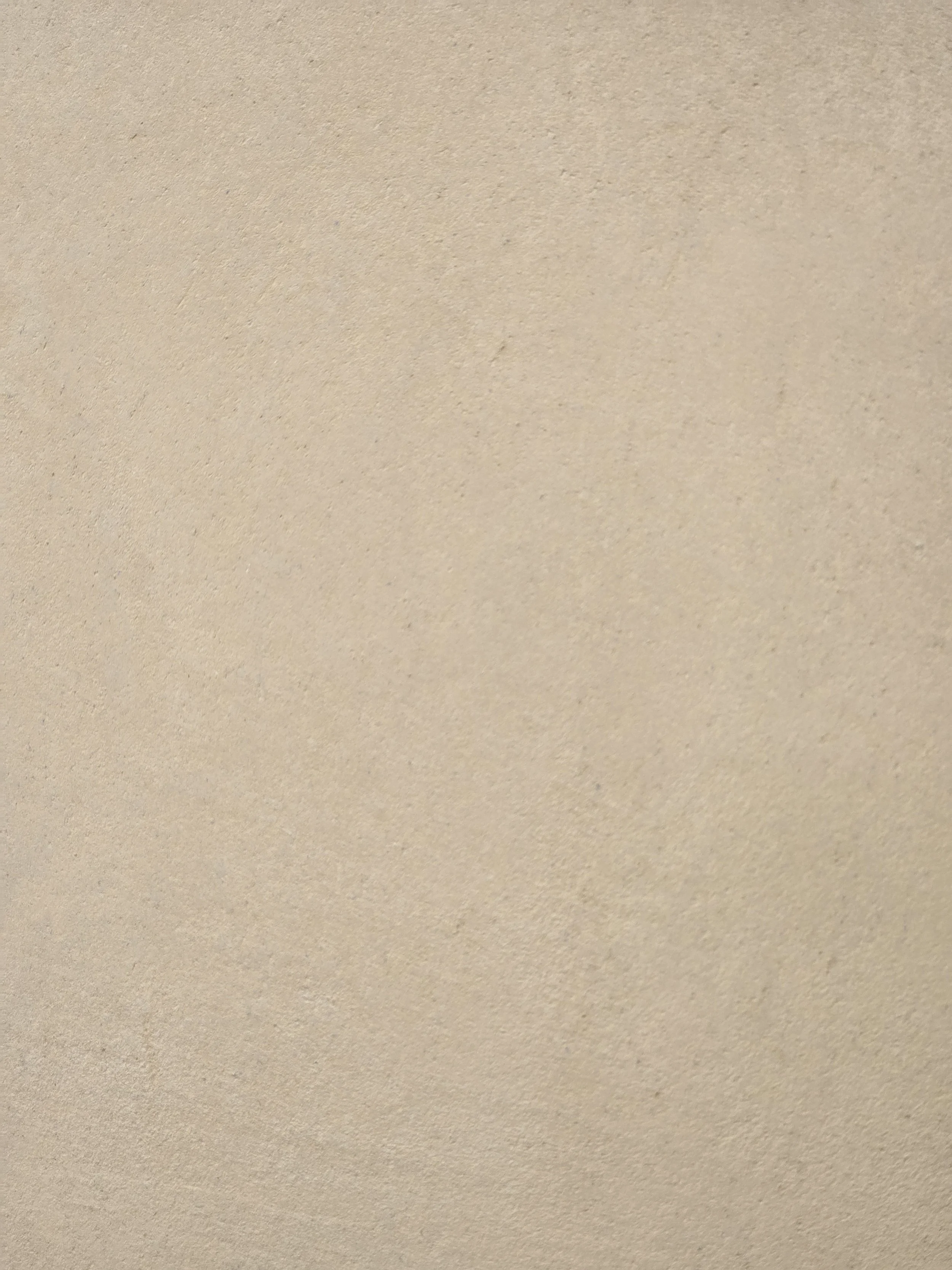 Zenith Top Coat Plaster Color Honey 1.jpg