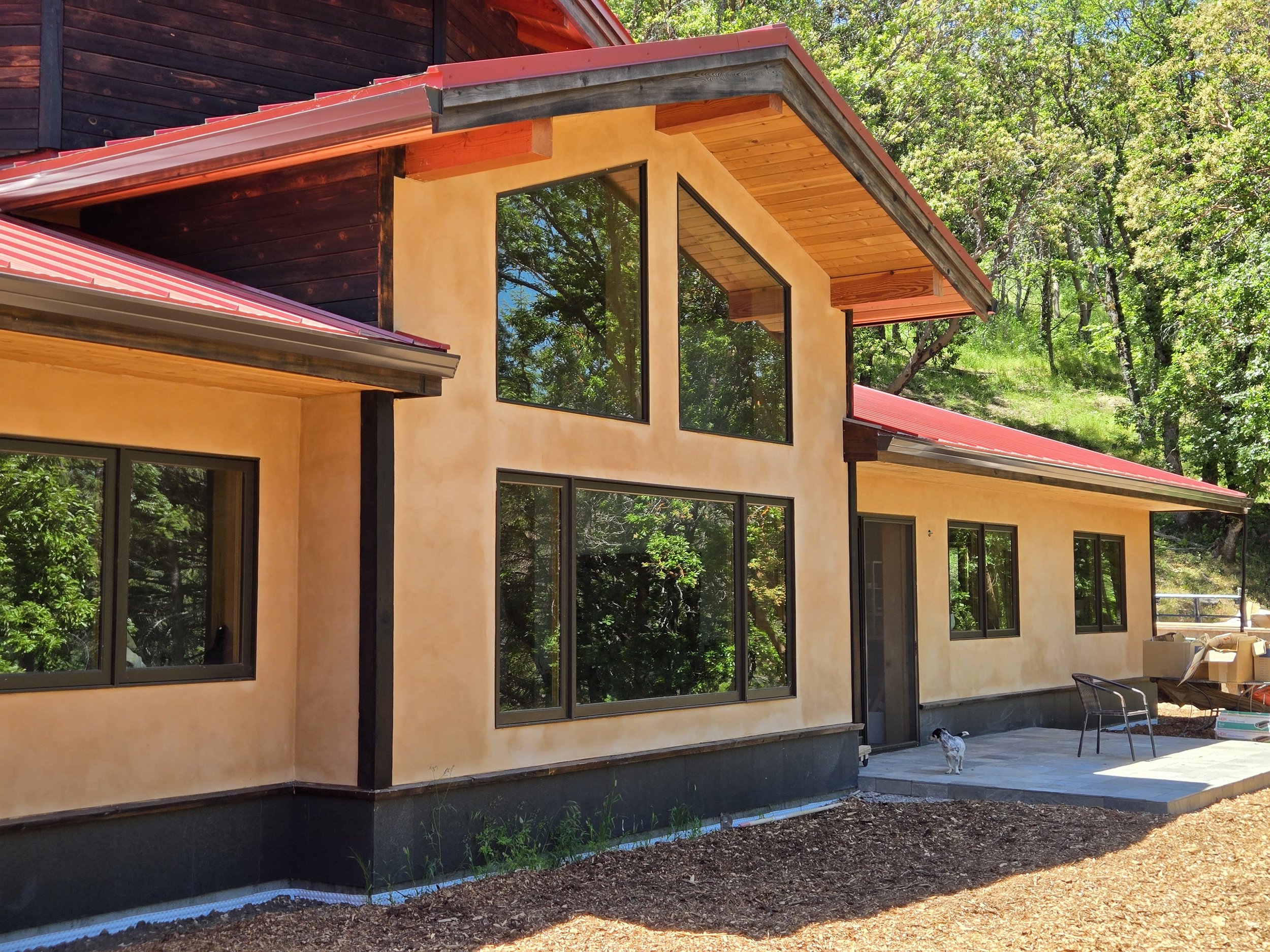 Newly constructed house with large windows, beige stucco exterior, red metal roof, and a small dog on the patio surrounded by trees.