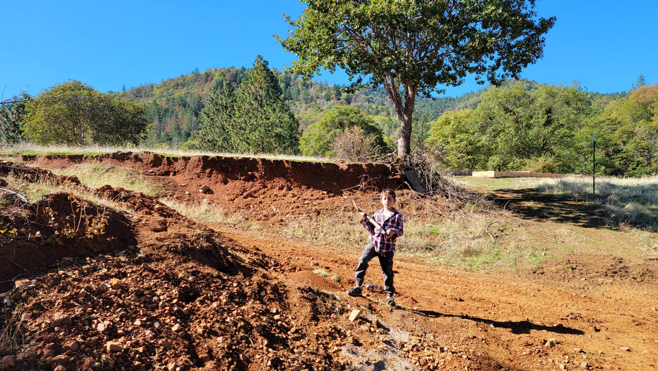 a child standing in a vibrant red clay deposit, with trees in the back ground, Gold Hill, Oregon