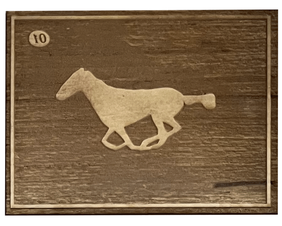 1HorseRun_WhiteHorse_transaprent.gif