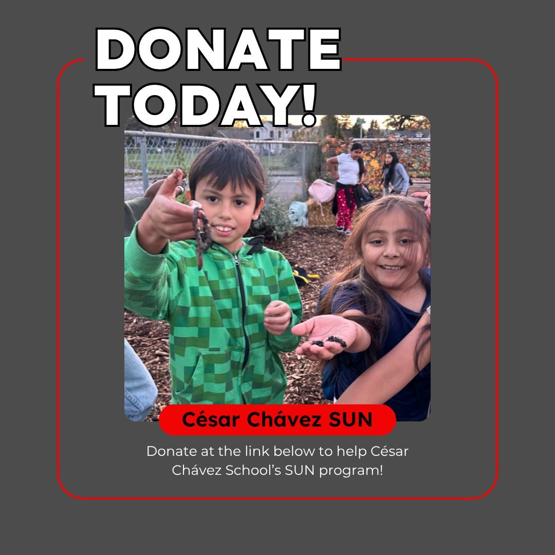SUN at C&eacute;sar Ch&aacute;vez is the only K-8 SUN program within Latino Network. Because of this, our program supports a larger and more diverse community, connecting families to the school and providing resources that strengthen North Portland.
