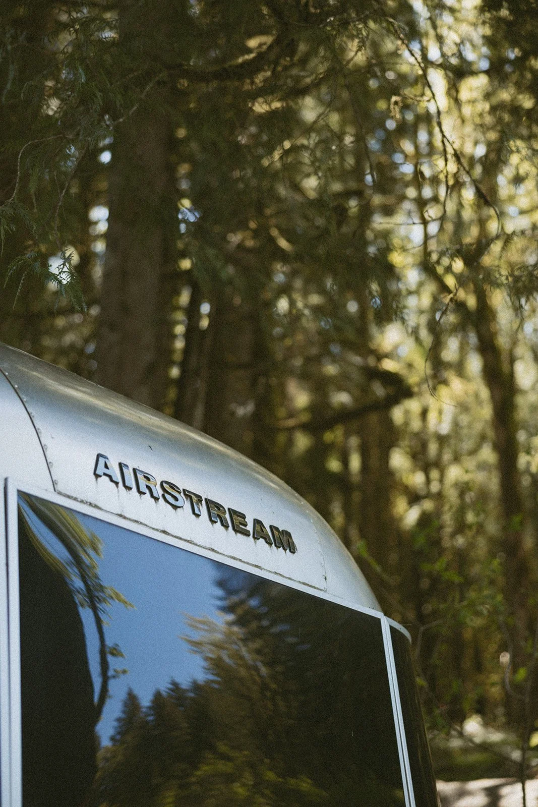 vow-renewal-mt-hood-oregon-highland-cow-farms-oregon-elopement-airstream-vintage-storytelling-dawn-photo-1.jpg