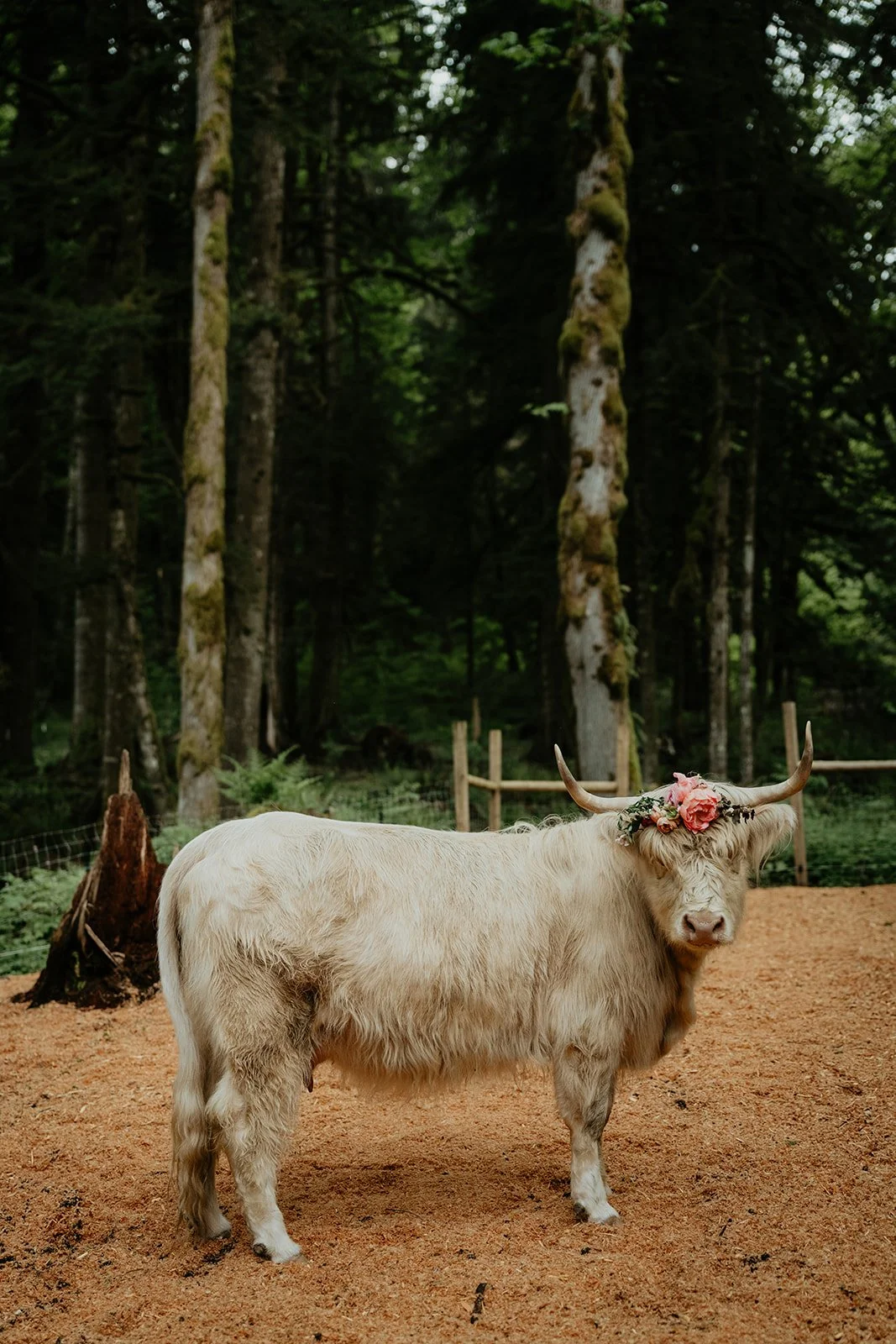 highland-farms-wedding-jen-ryan-257.jpg